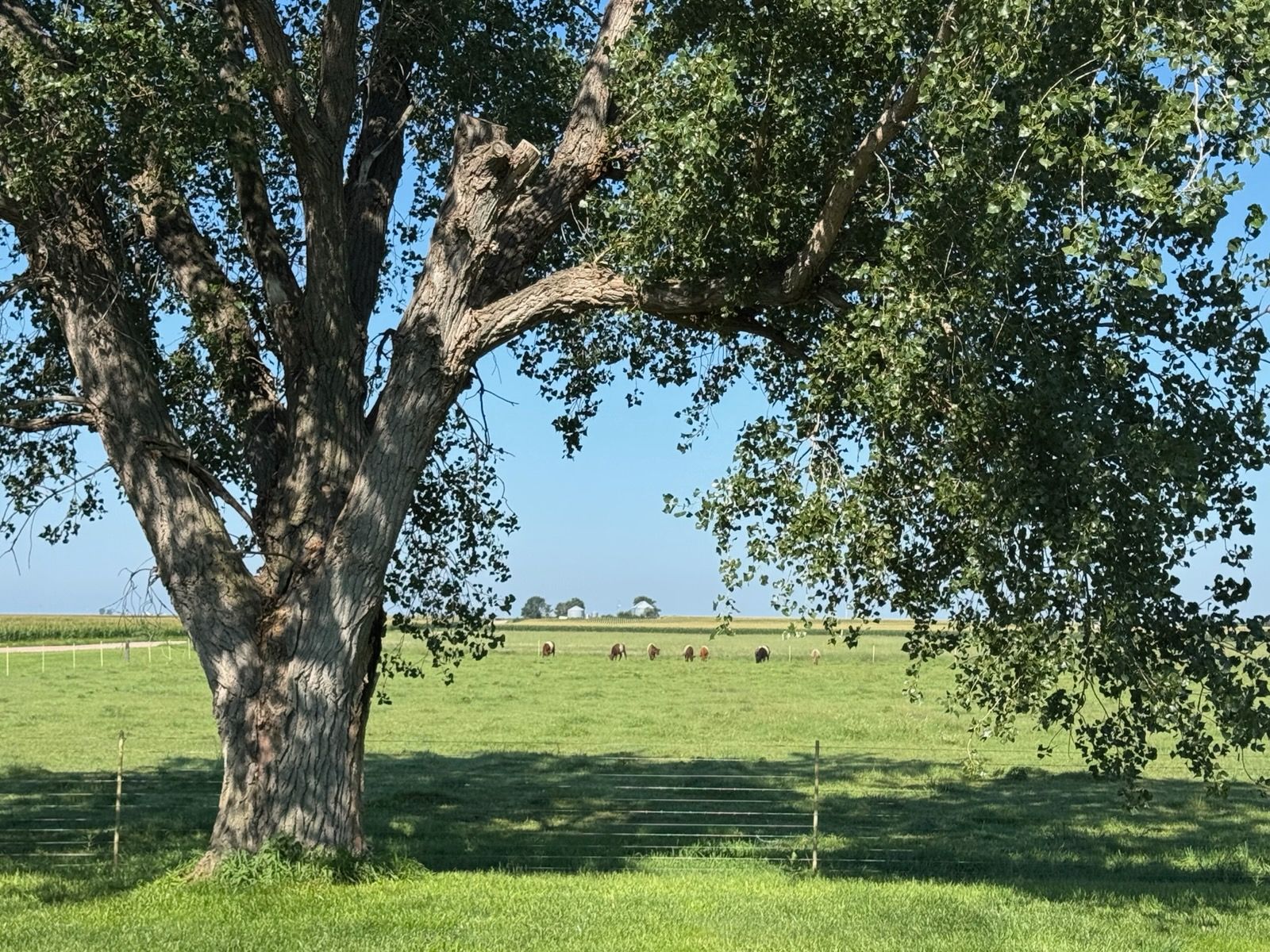  for HDE Services LLC in Grand Island, NE