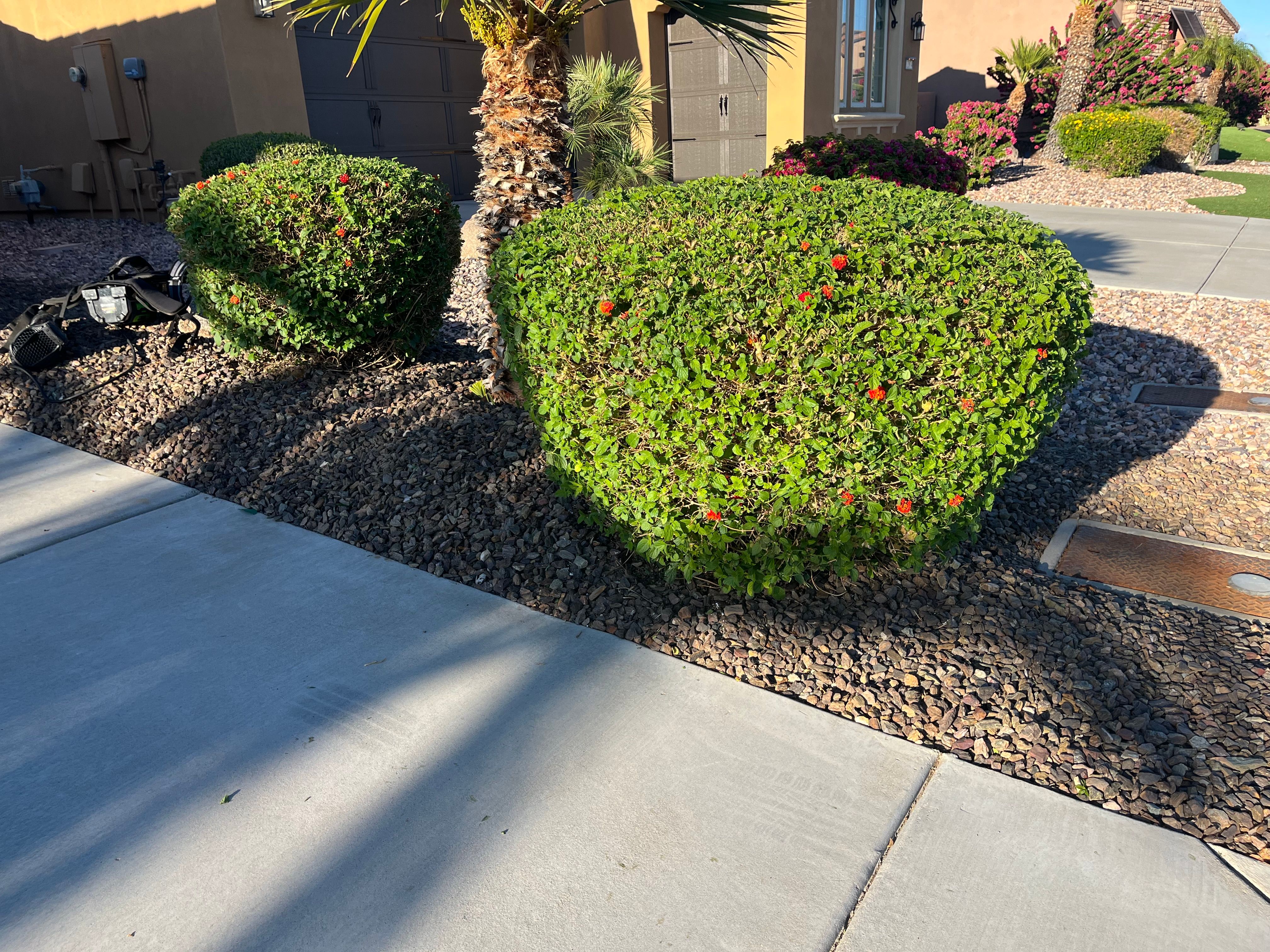 All Photos for Grand Canyon State Landscape Inc. in Surprise, AZ