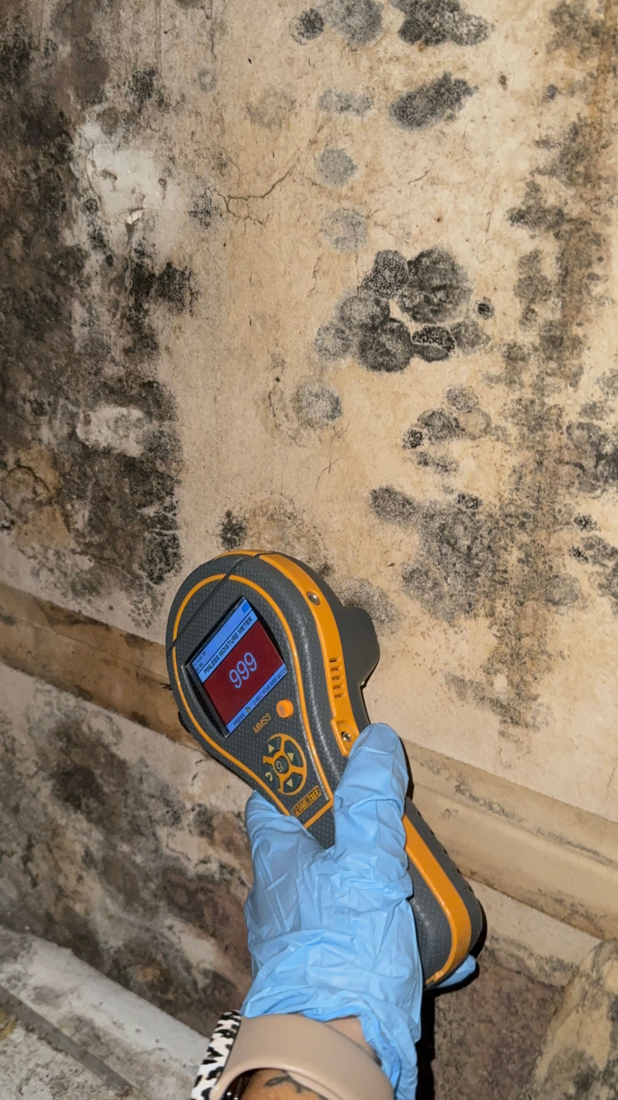  for N&D Restoration Services When Disaster Strikes, We Come In in Cape Coral,  FL