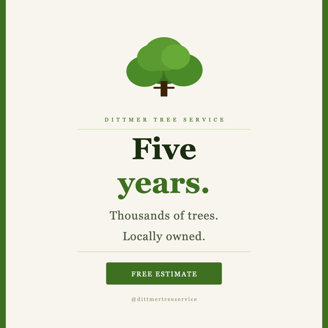 All Photos for Dittmer Tree Service in Davenport, IA