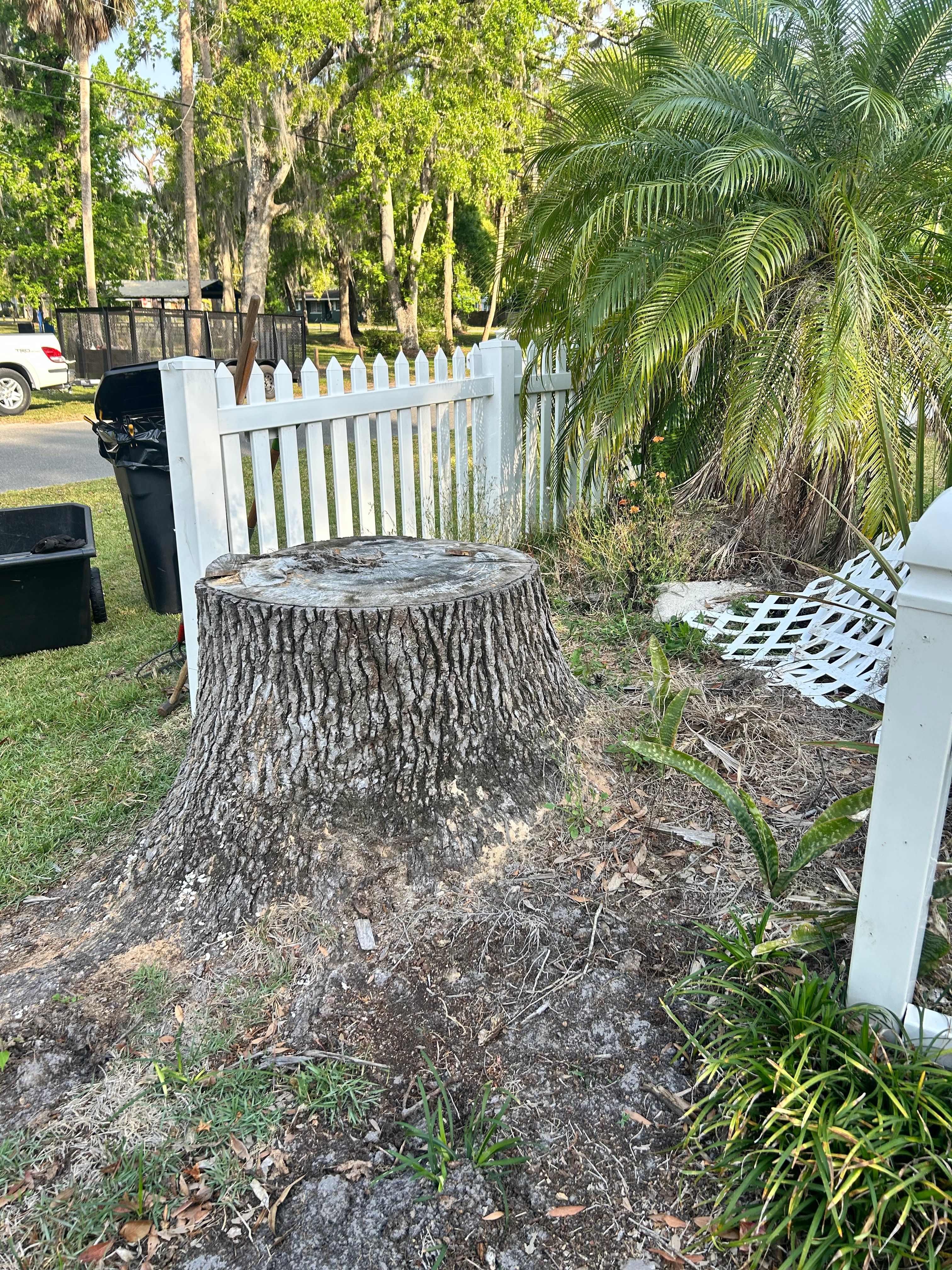  for Greene Acres Stump Grinding in Plant City, FL
