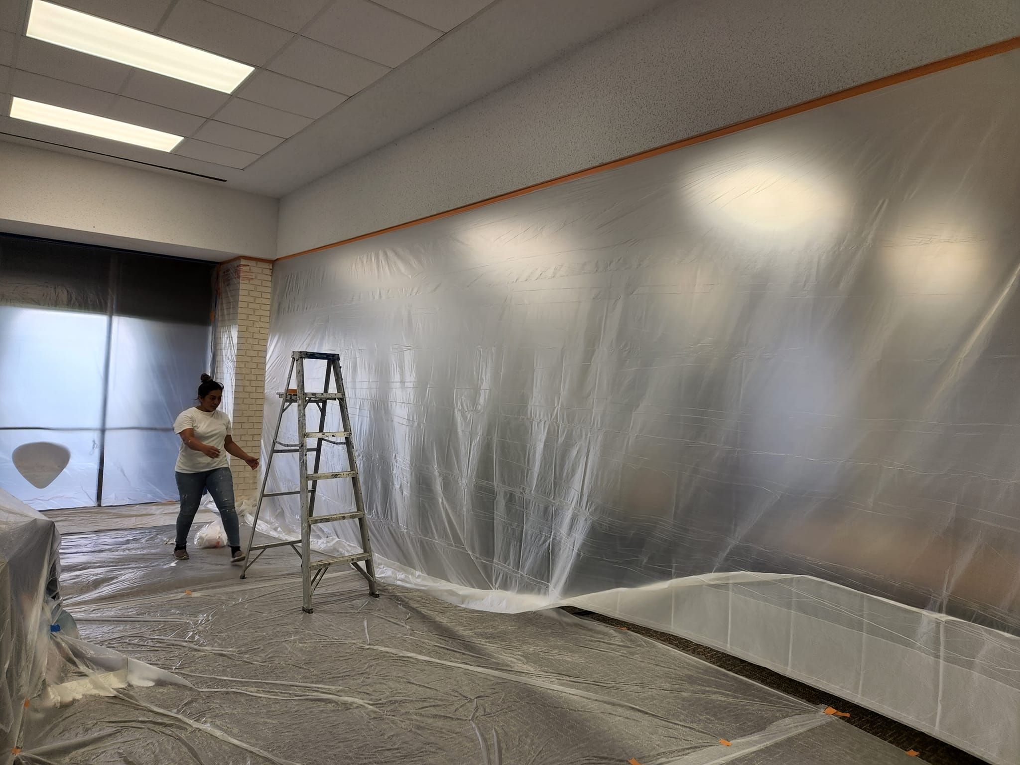  for Design Painting Plus LLC in Valrico, FL