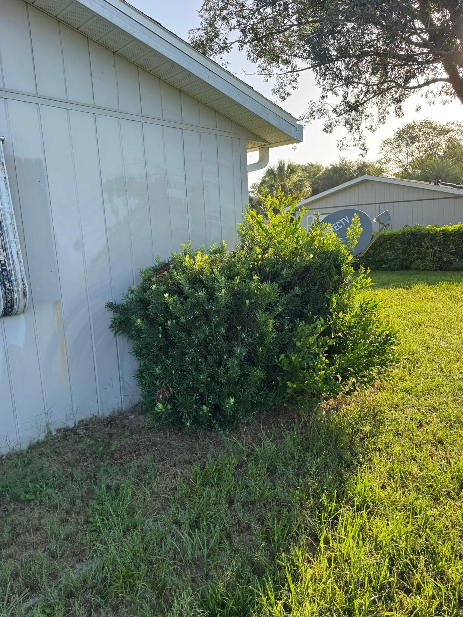 All Photos for Young's Lawn Services LLC in Ocala, FL