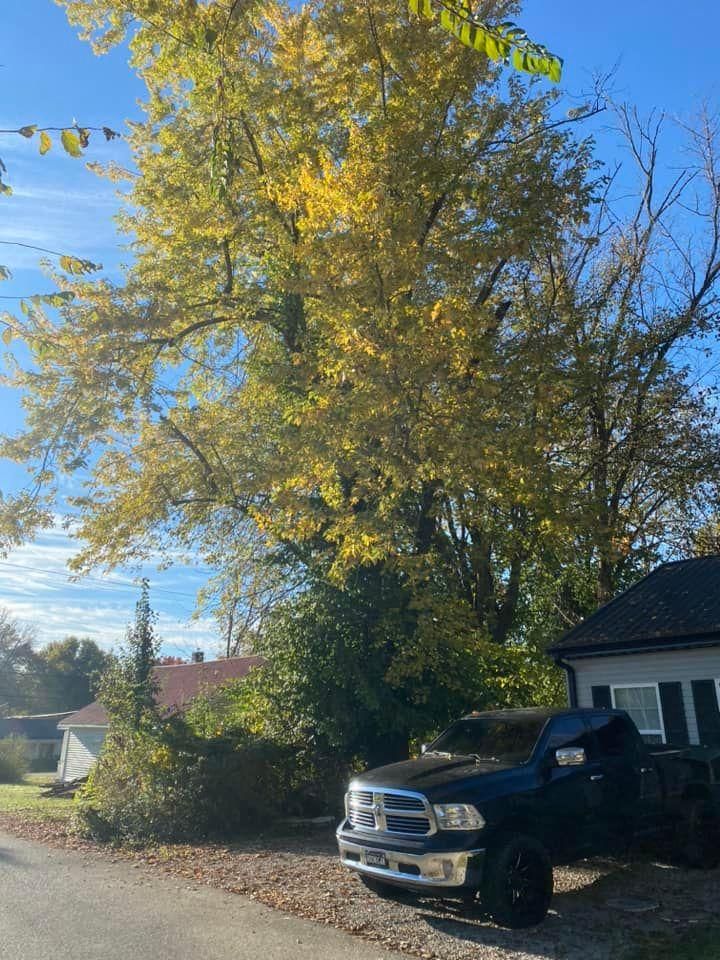 Fall and Spring Clean Up for Atwood’s Tree Care in Liberty,  KY