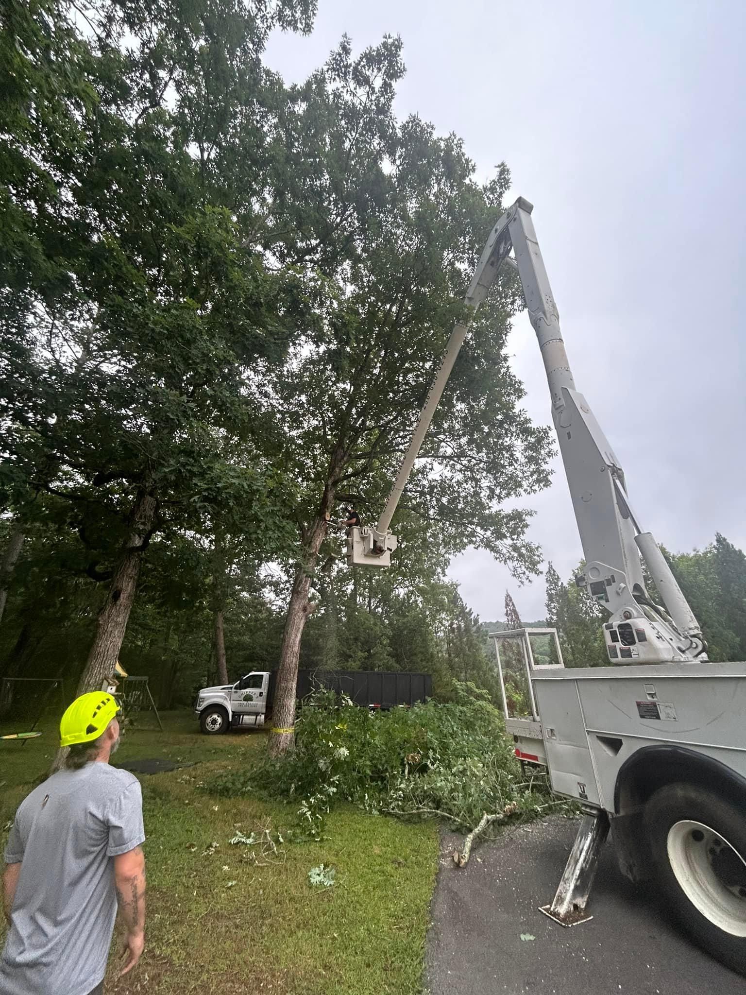  for Chipper's Tree Service  in Fort Payne, AL