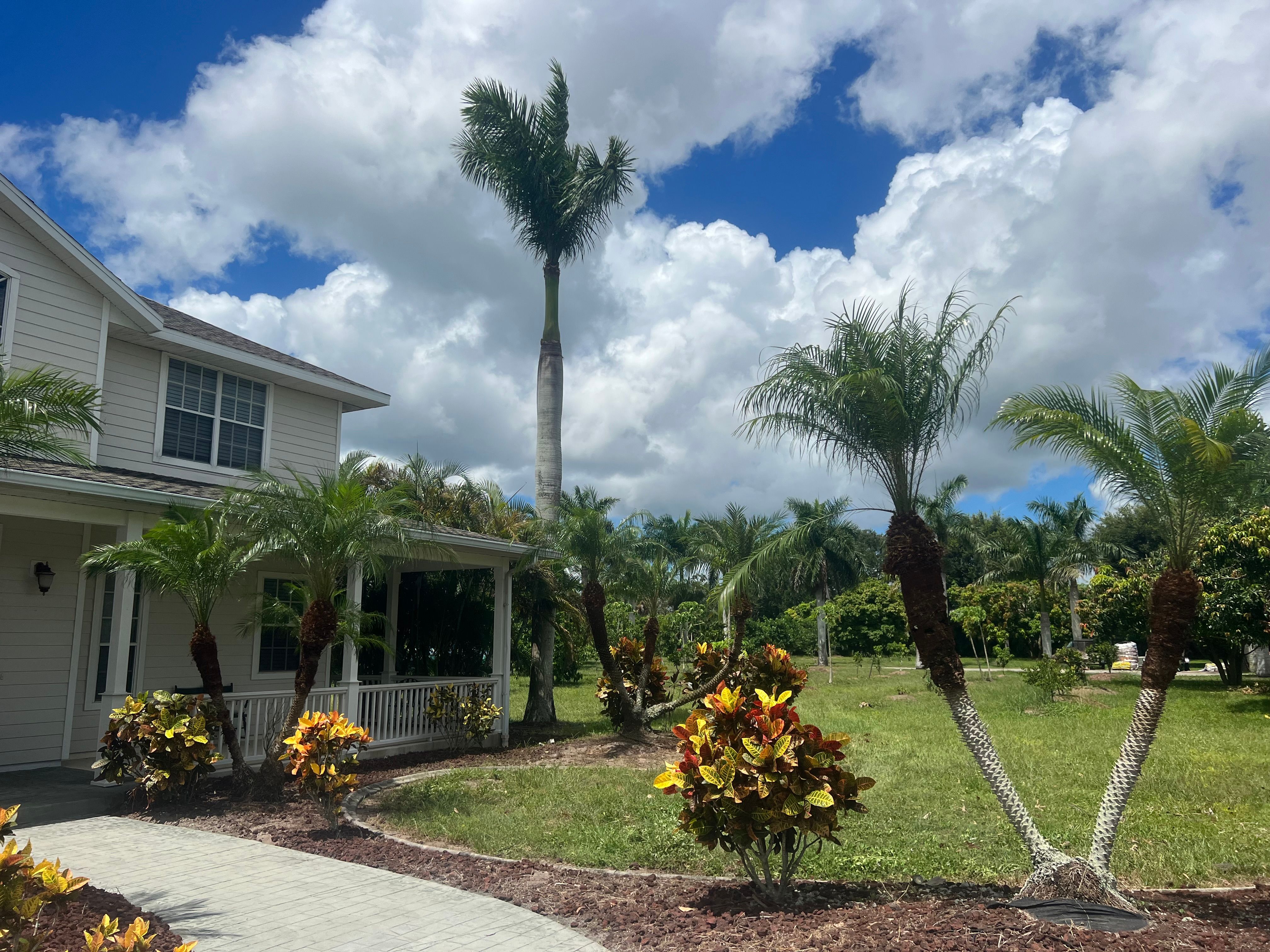 Full scale landscape designing and installations for Isaiah Simmons Construction and Landscaping LLC in Brevard County, Florida