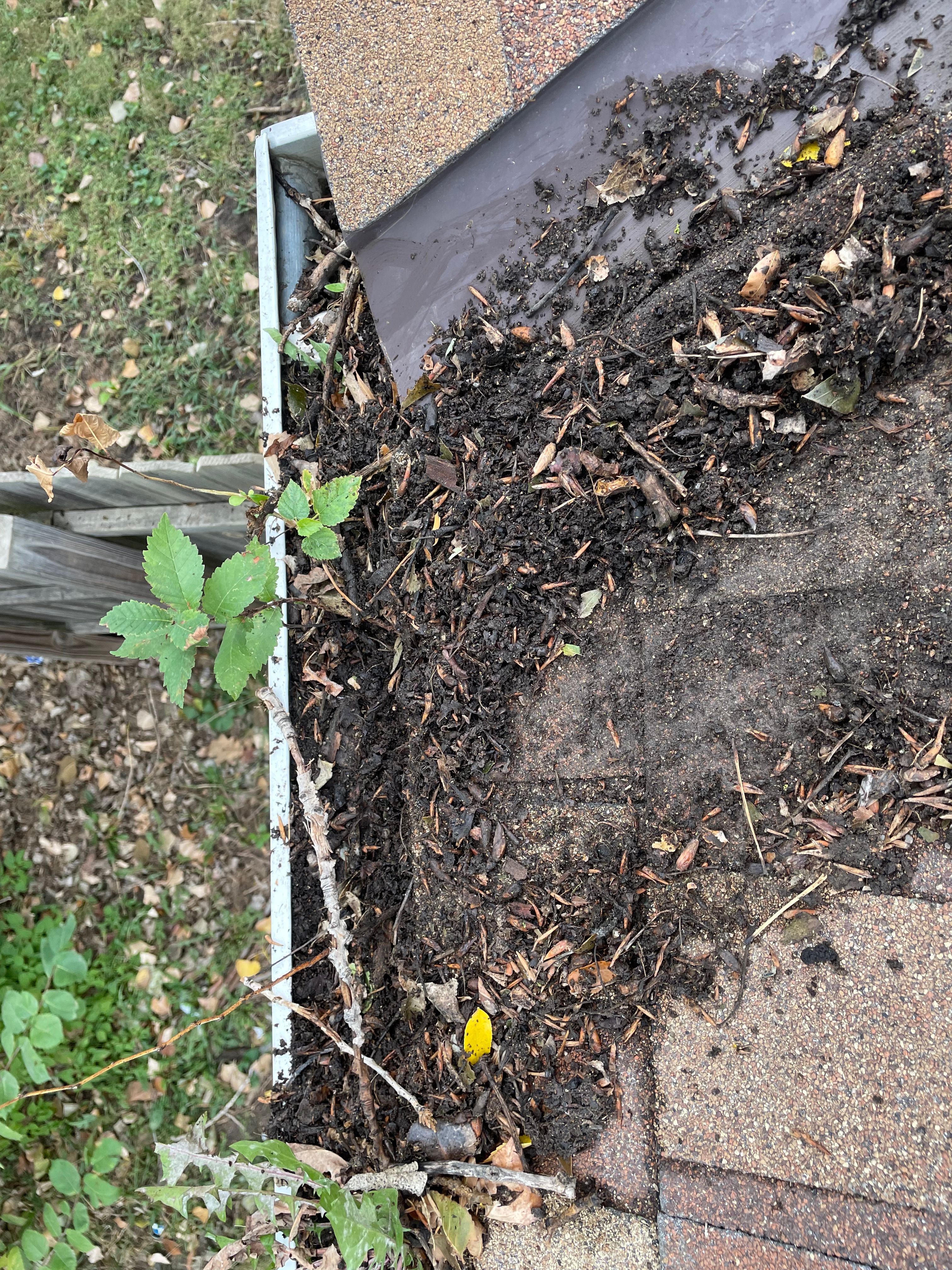  for Jacks Lawn & Landscape LLC  in Hastings, NE