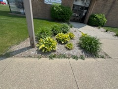 All Photos for Daugherty's Tough Lawn Care in Essexville, MI
