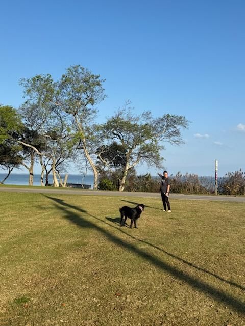  for Beach Tree Care in Virginia Beach, VA