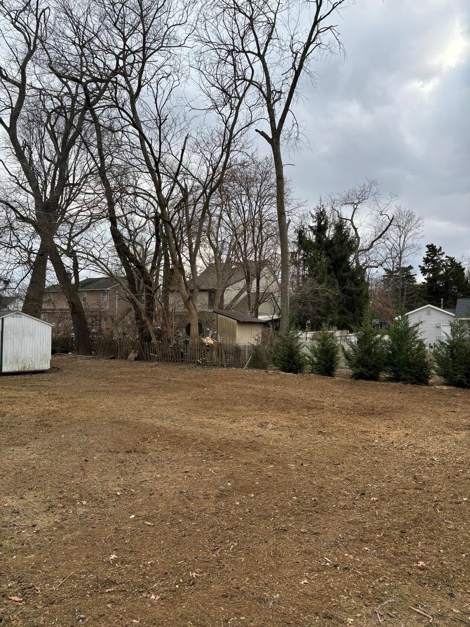 All Photos for Melnyk’s Tree Service in Salem County, NJ