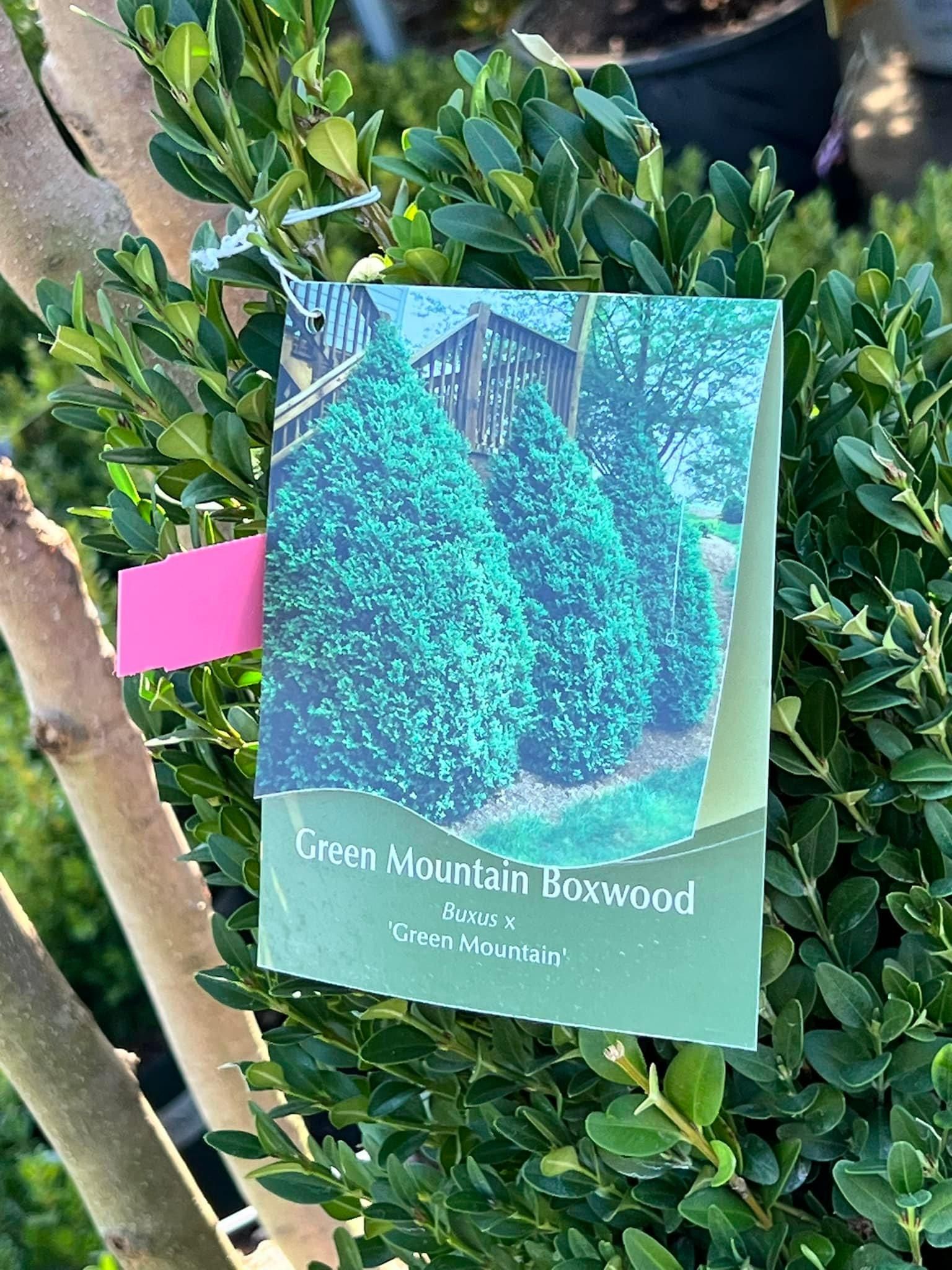  for Sanchez Z. Landscaping in Memphis, TN