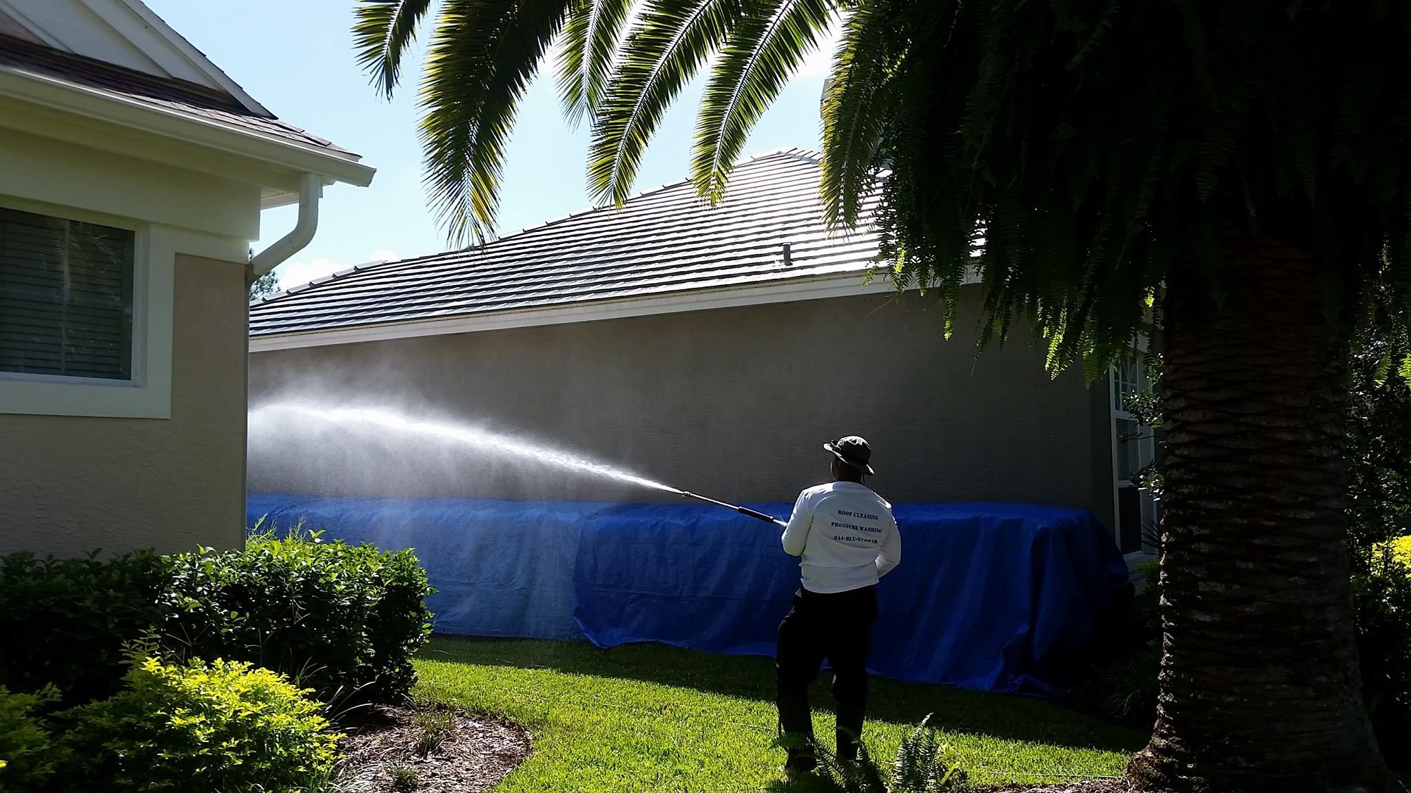  for Blue Stream Roof Cleaning & Pressure Washing in Tampa, FL