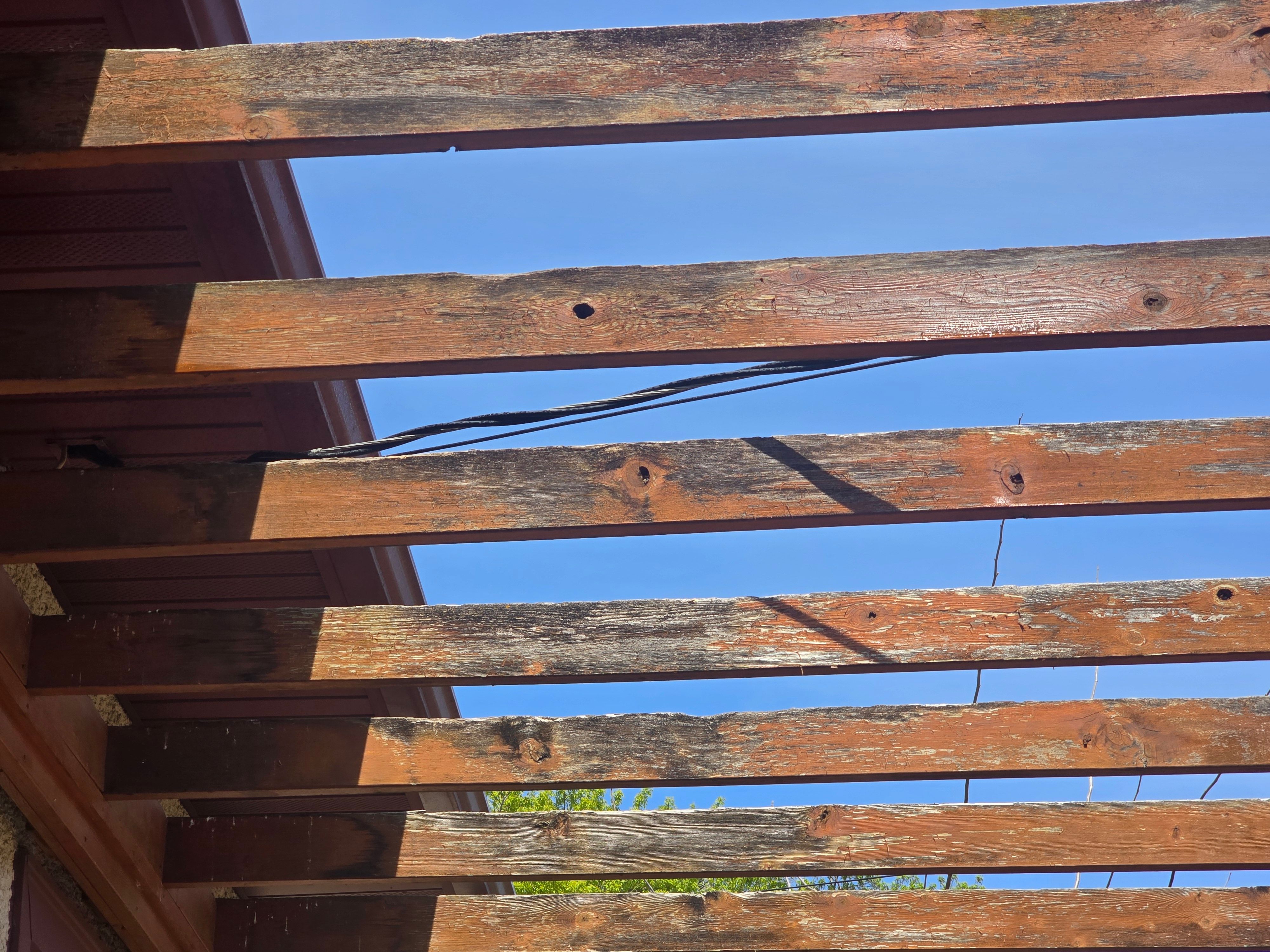 All Photos for Duraplus Topcoat Painting in New Brighton, MN