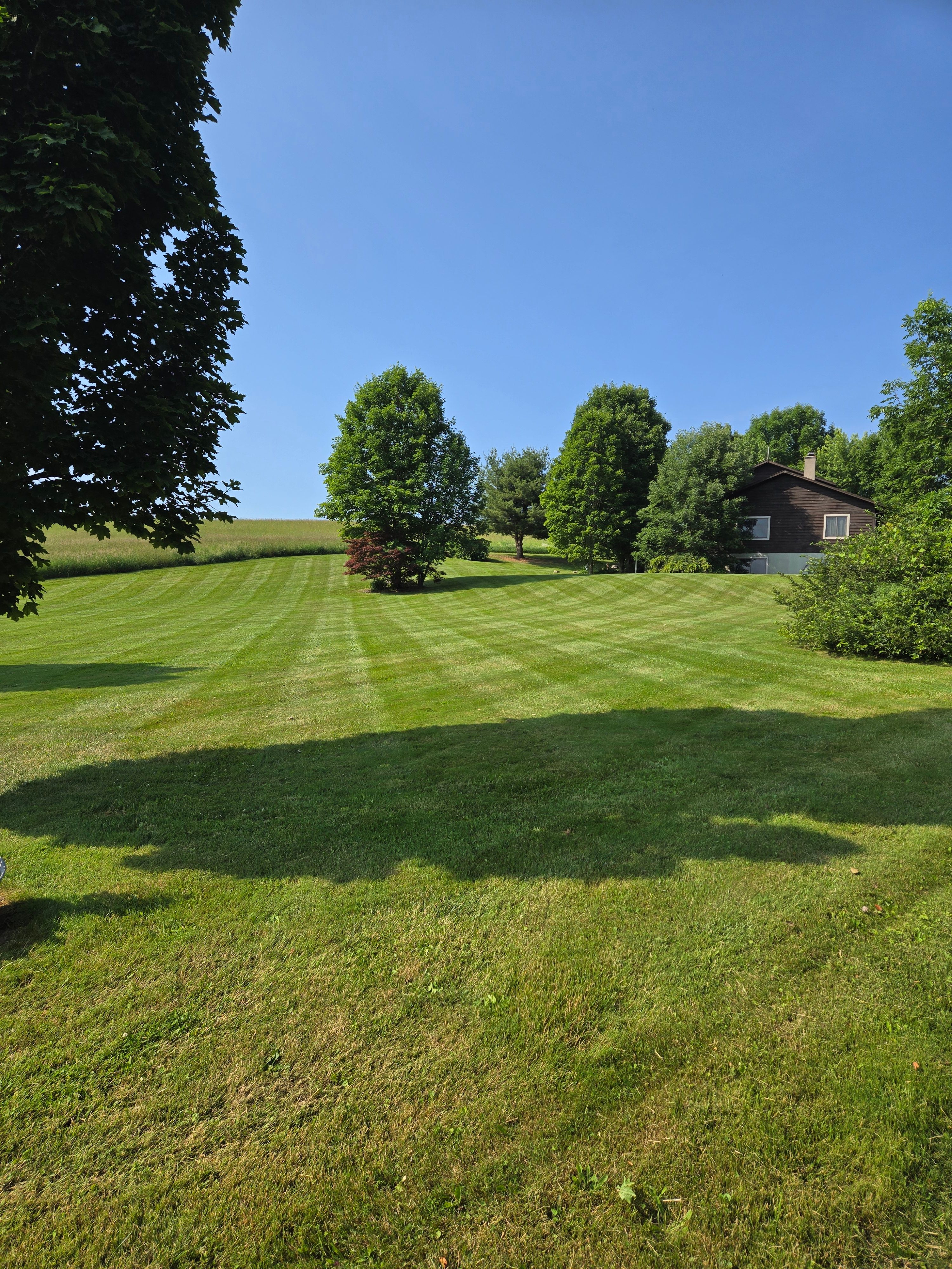  for Fancher's Lawns & Landscaping LLC in Schoharie County, NY