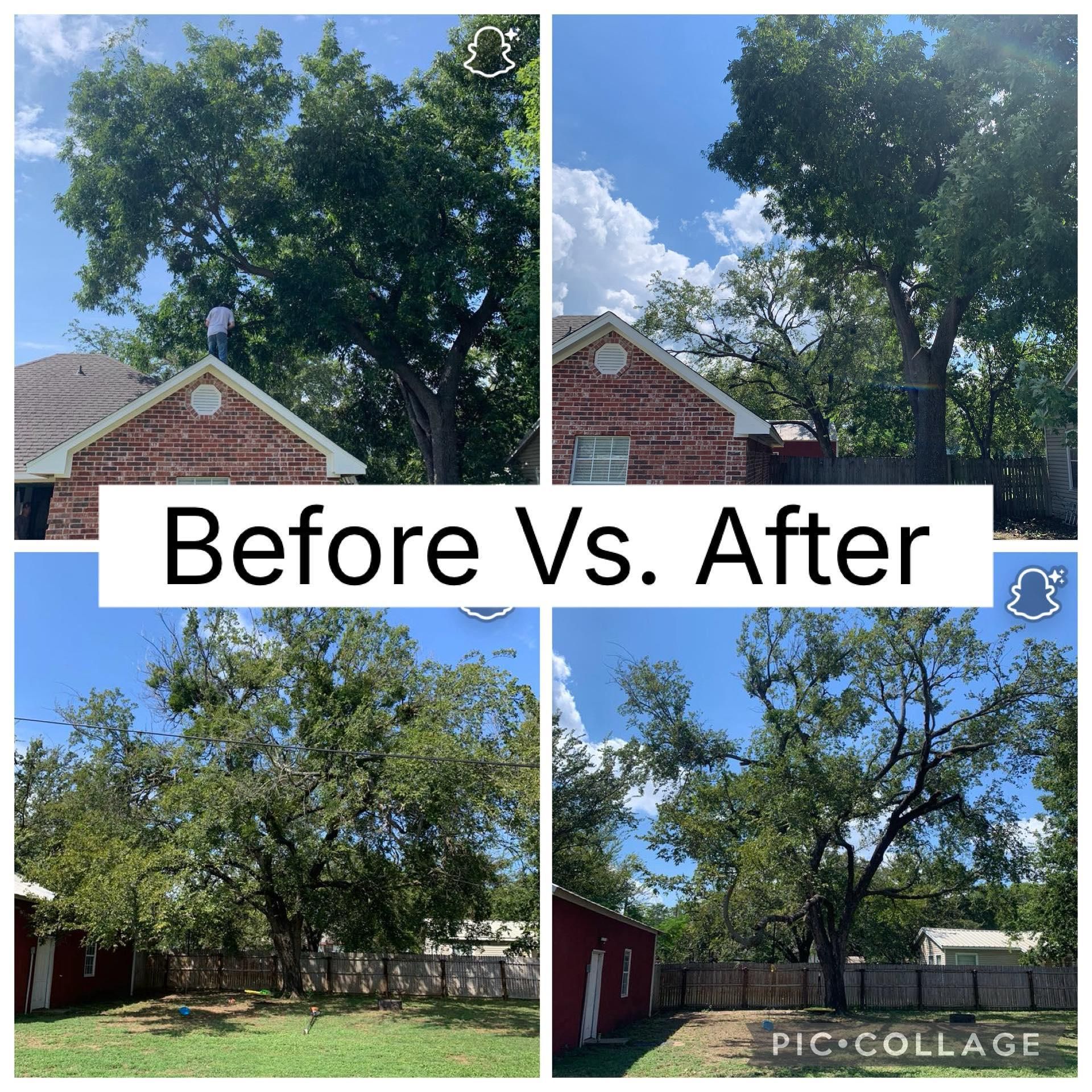  for Marks Tree Service in Fort Worth, TX