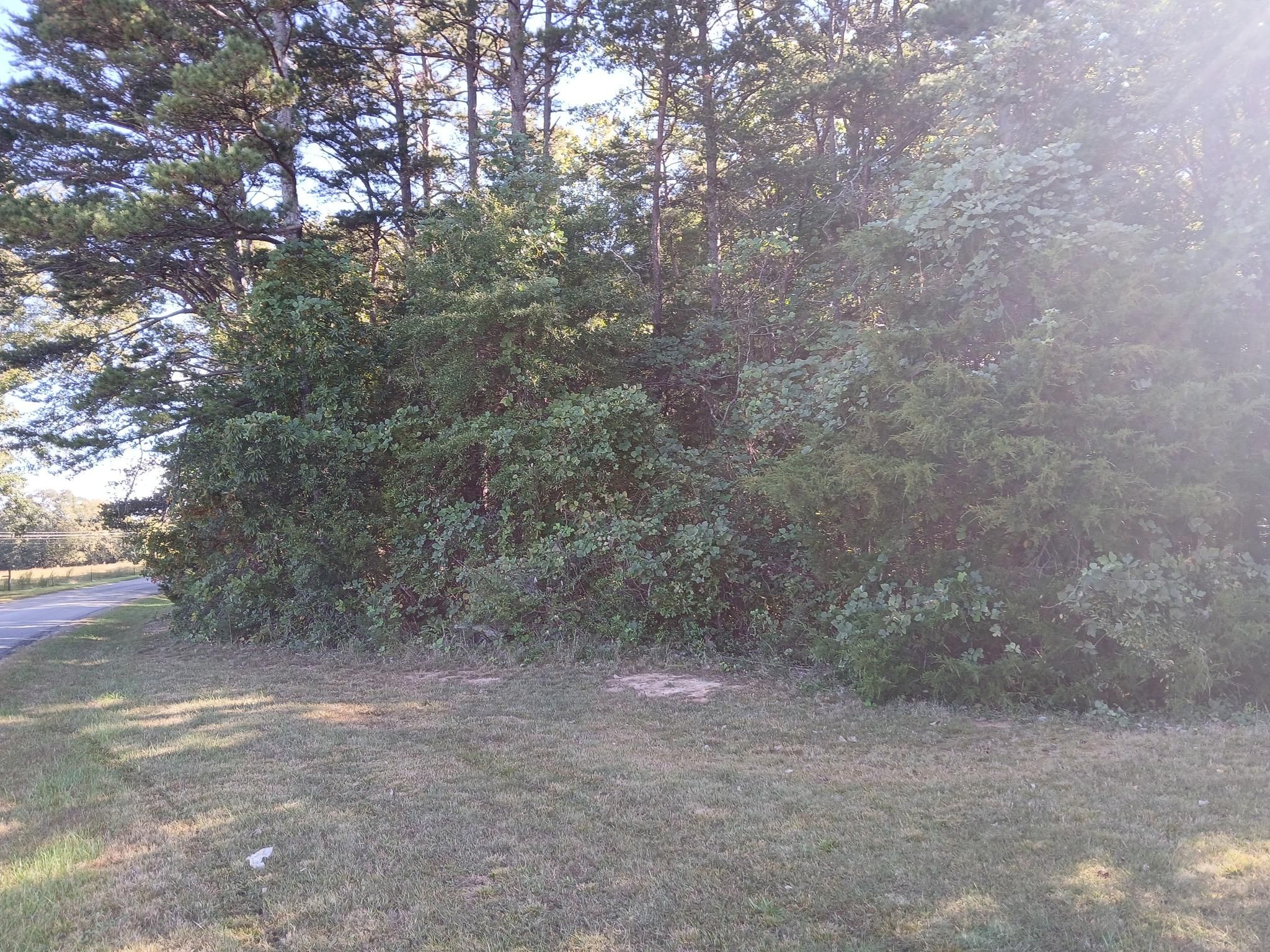  for Whiskey Ridge Mulching & Land Services in South Boston, VA