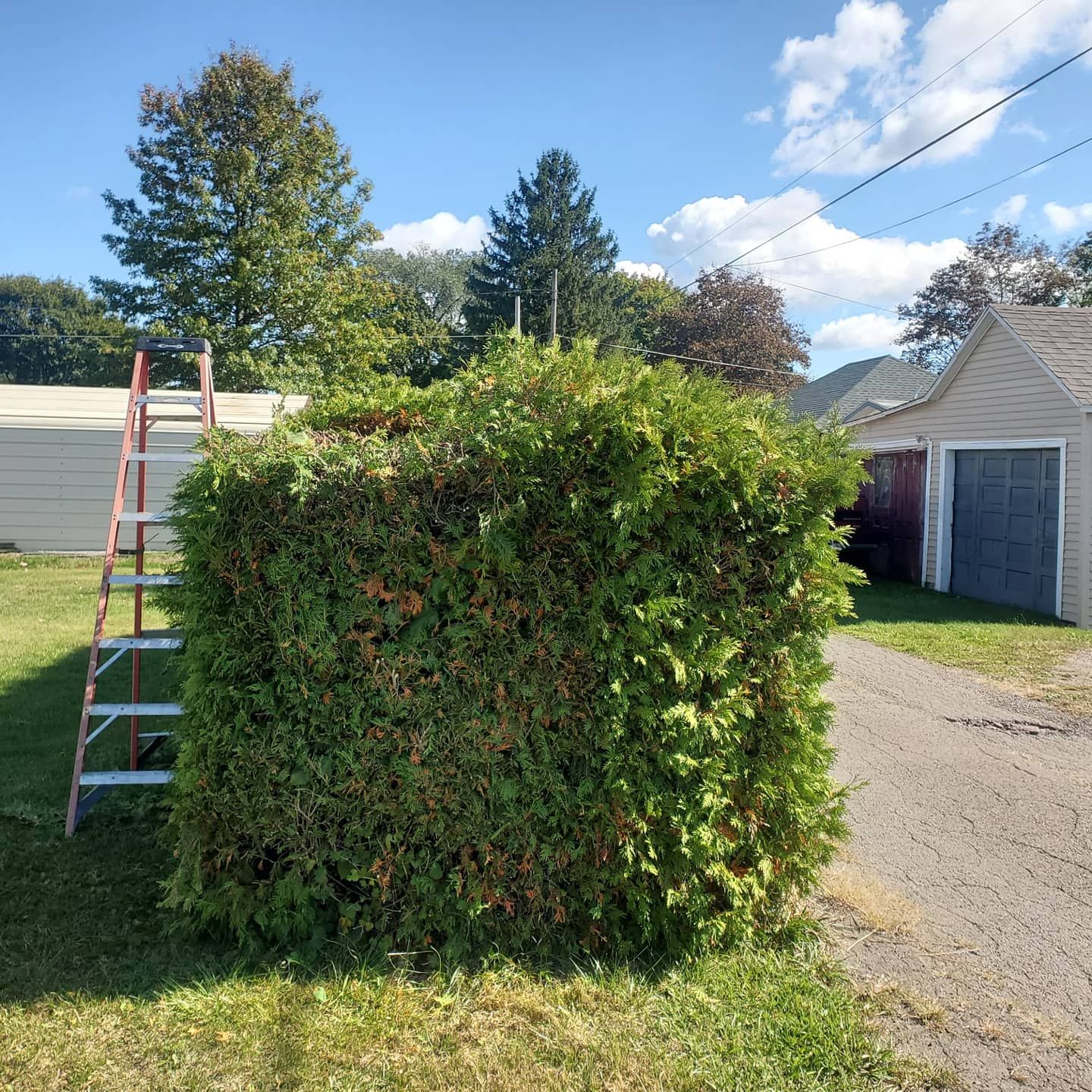  for Down Home Landscaping in Stillwater, PA