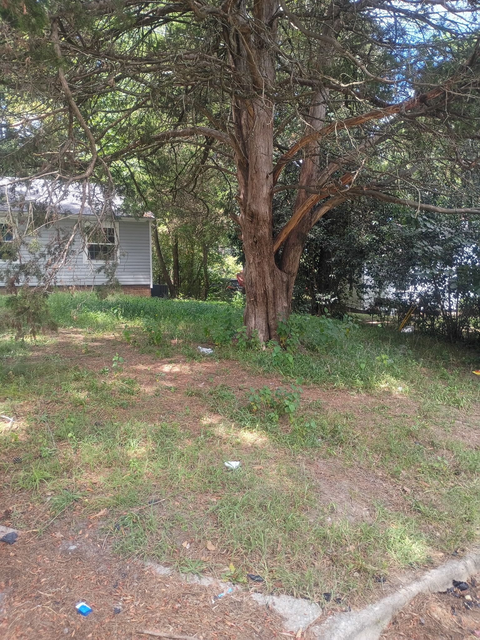  for Brothers On Point Lawn And Junk Removal in Wilson, NC