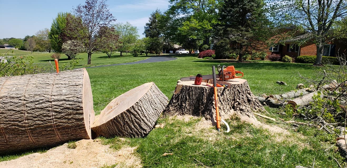  for Reagan & Sons Tree Service in Dandridge, TN