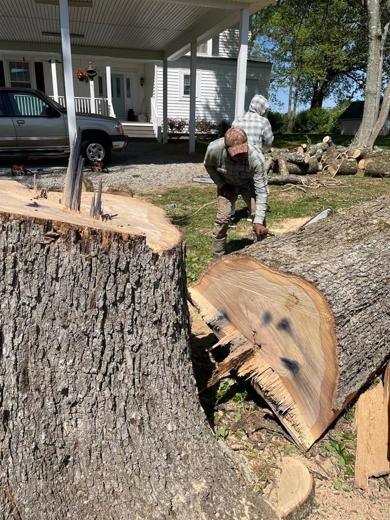 Tree Removal for Rosales Landscaping LLC in Lake Gaston, North Carolina