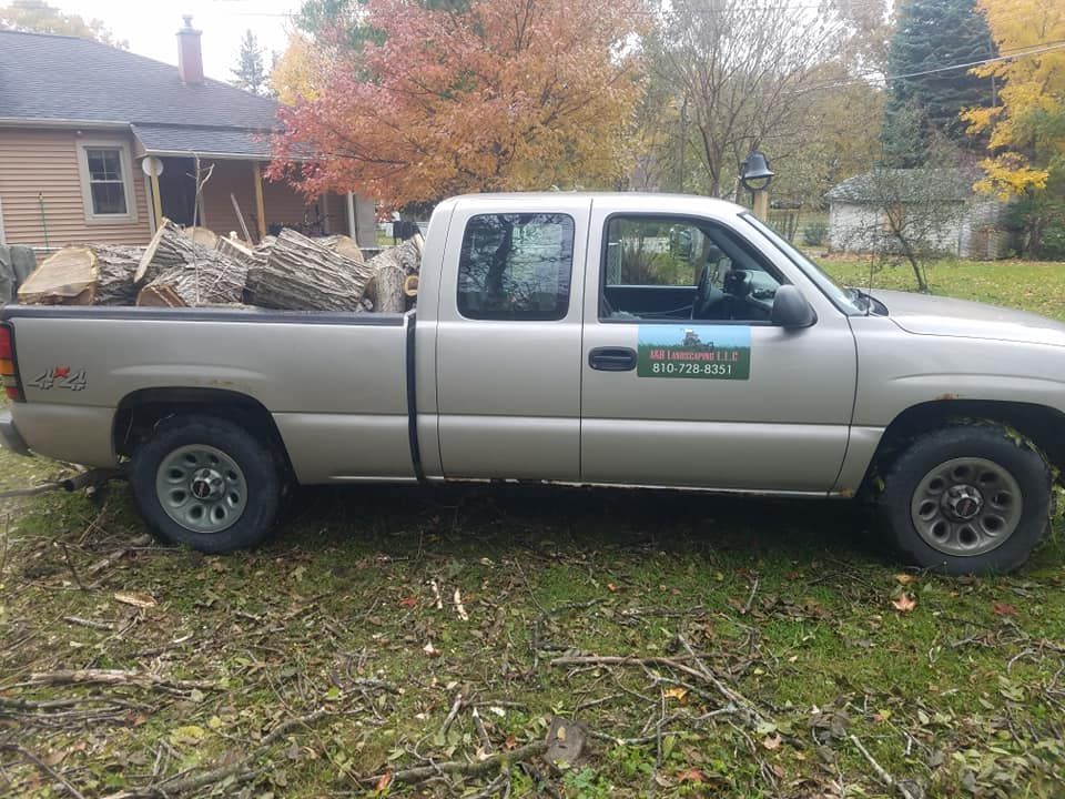 Tree Removal for A&B Landscaping L.L.C. in Lapeer, MI