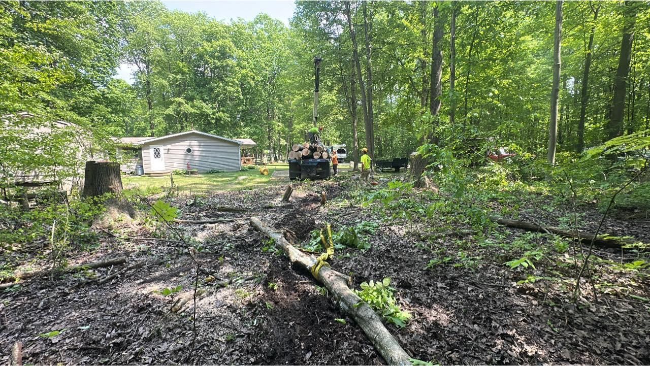  for Mad Tree Service in Cochranton, PA