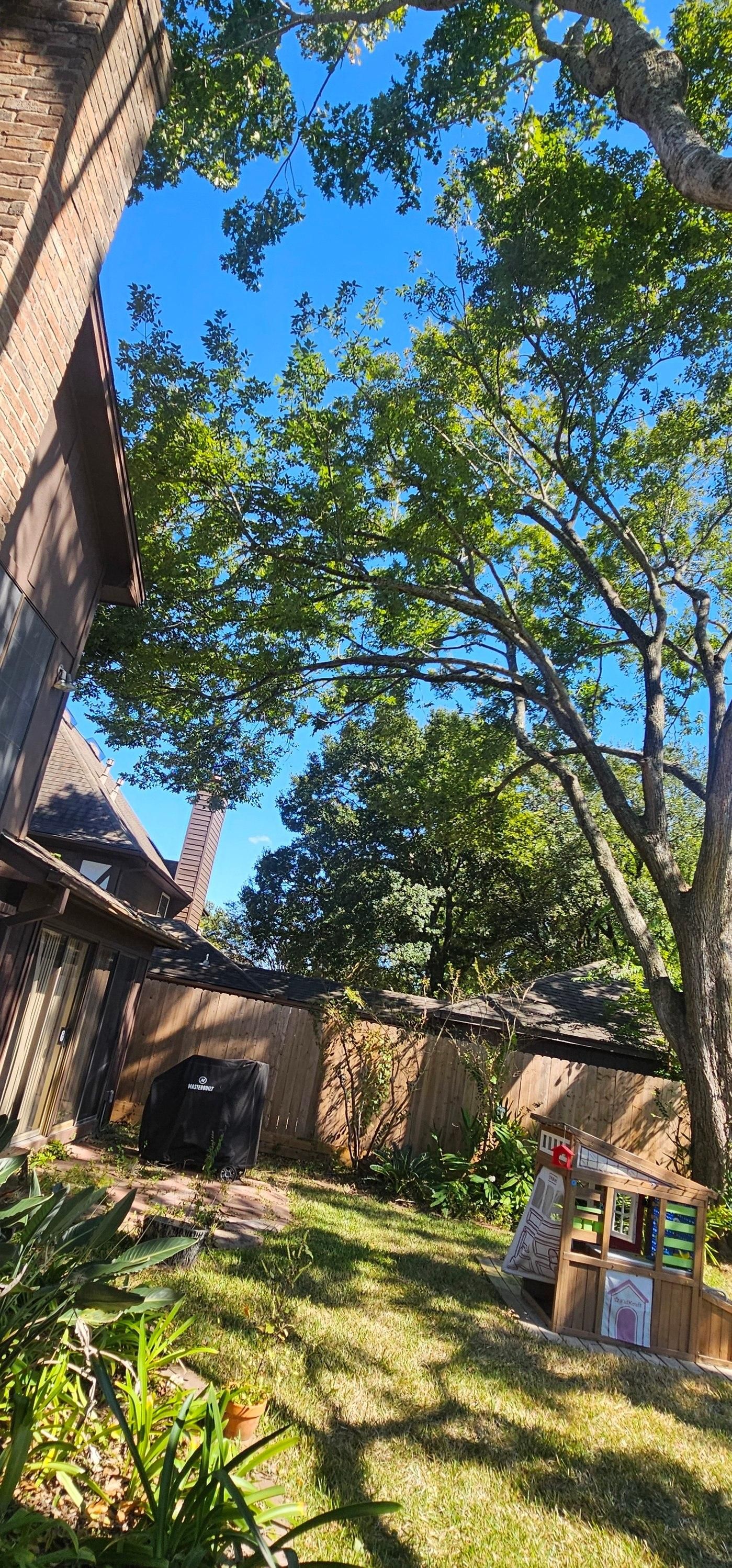  for Servin's Tree Care  in Houston, TX