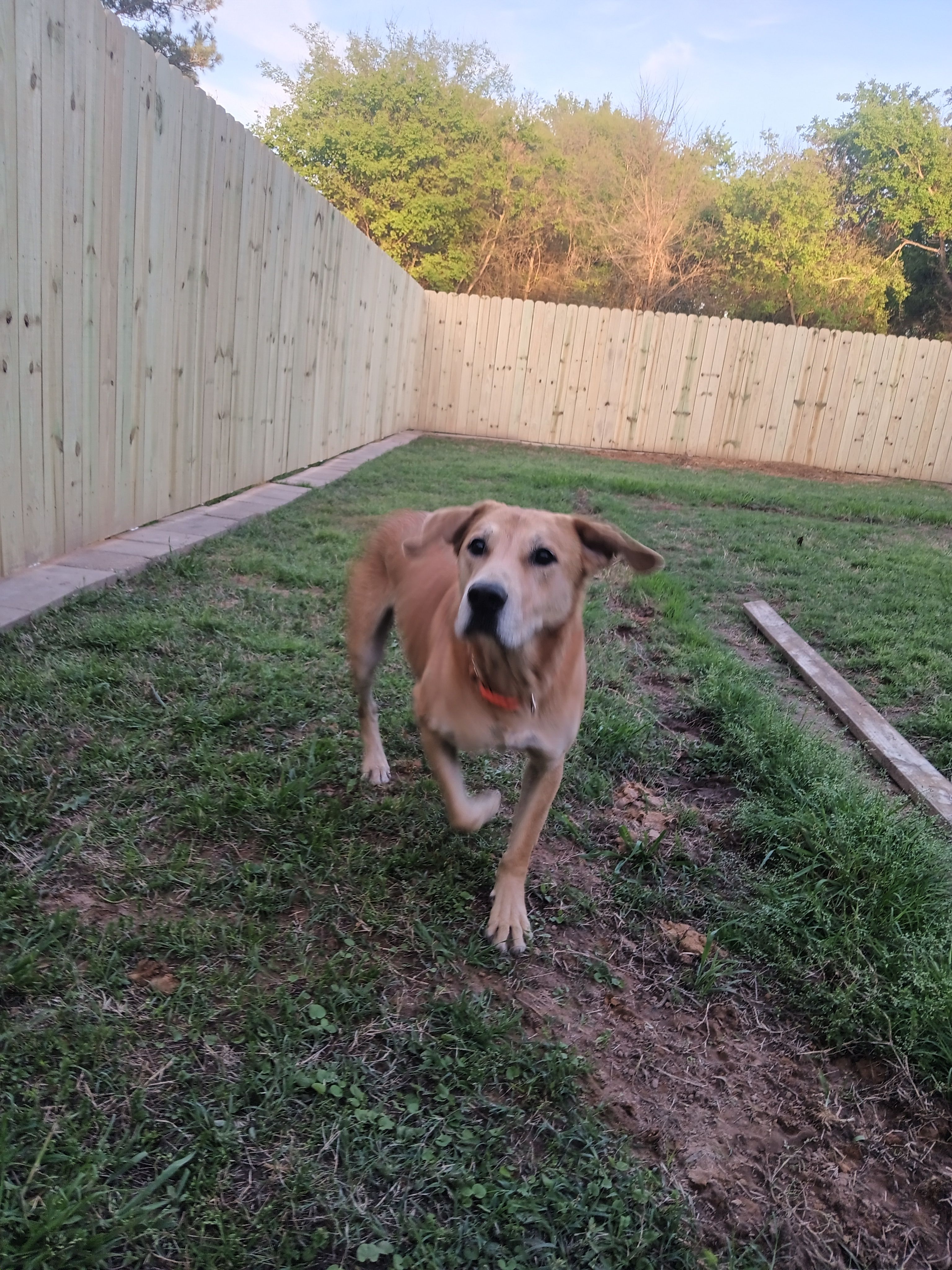  for JR Fences in Lindale, TX