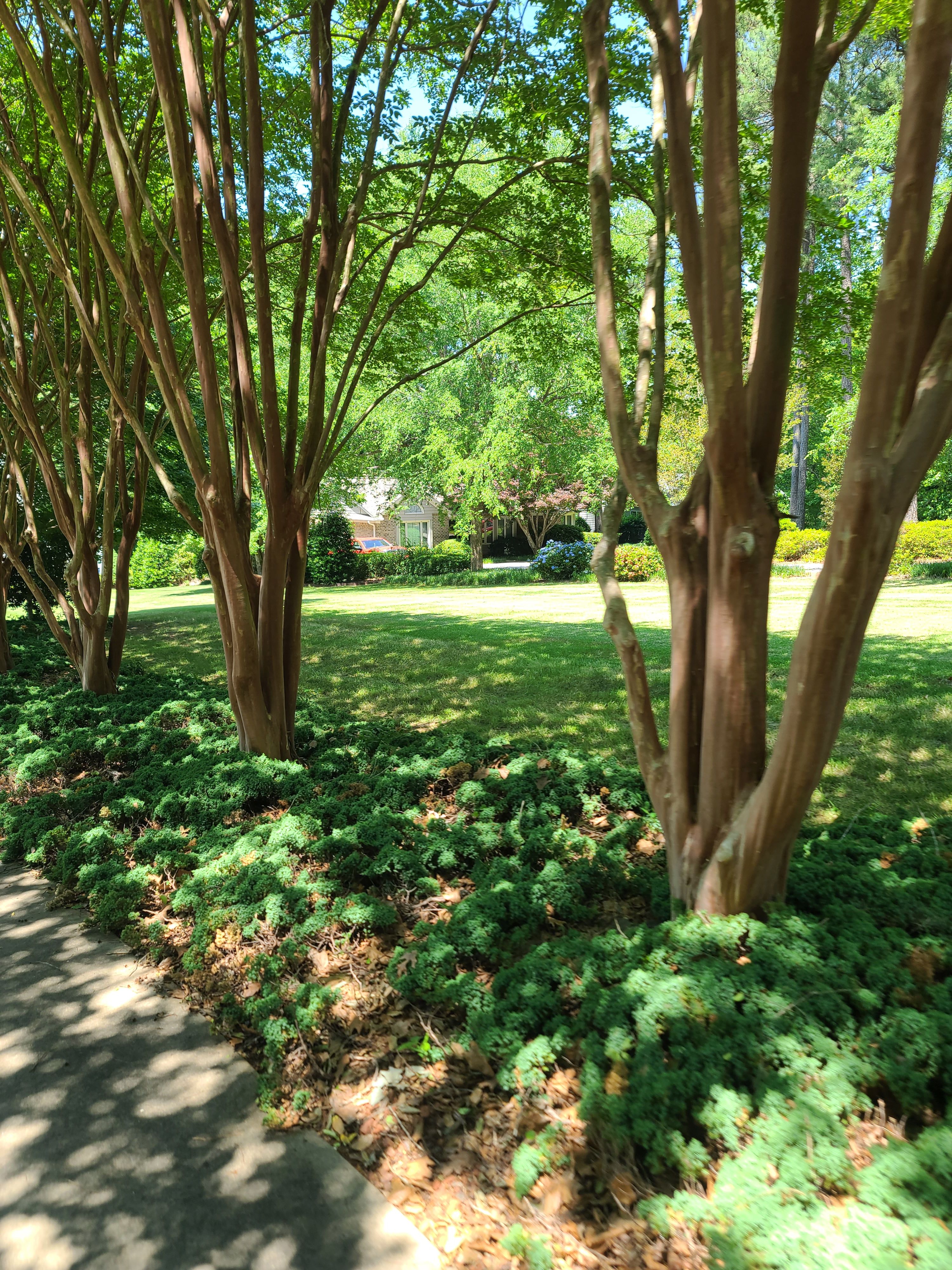  for Westscape Designs in Lake Gaston, NC