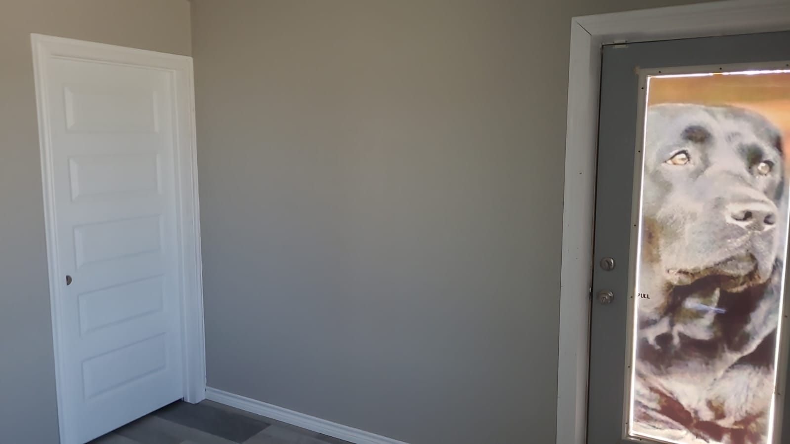 Vet Clinic Remodel for Prairie Land Properties LLC in Lubbock, TX