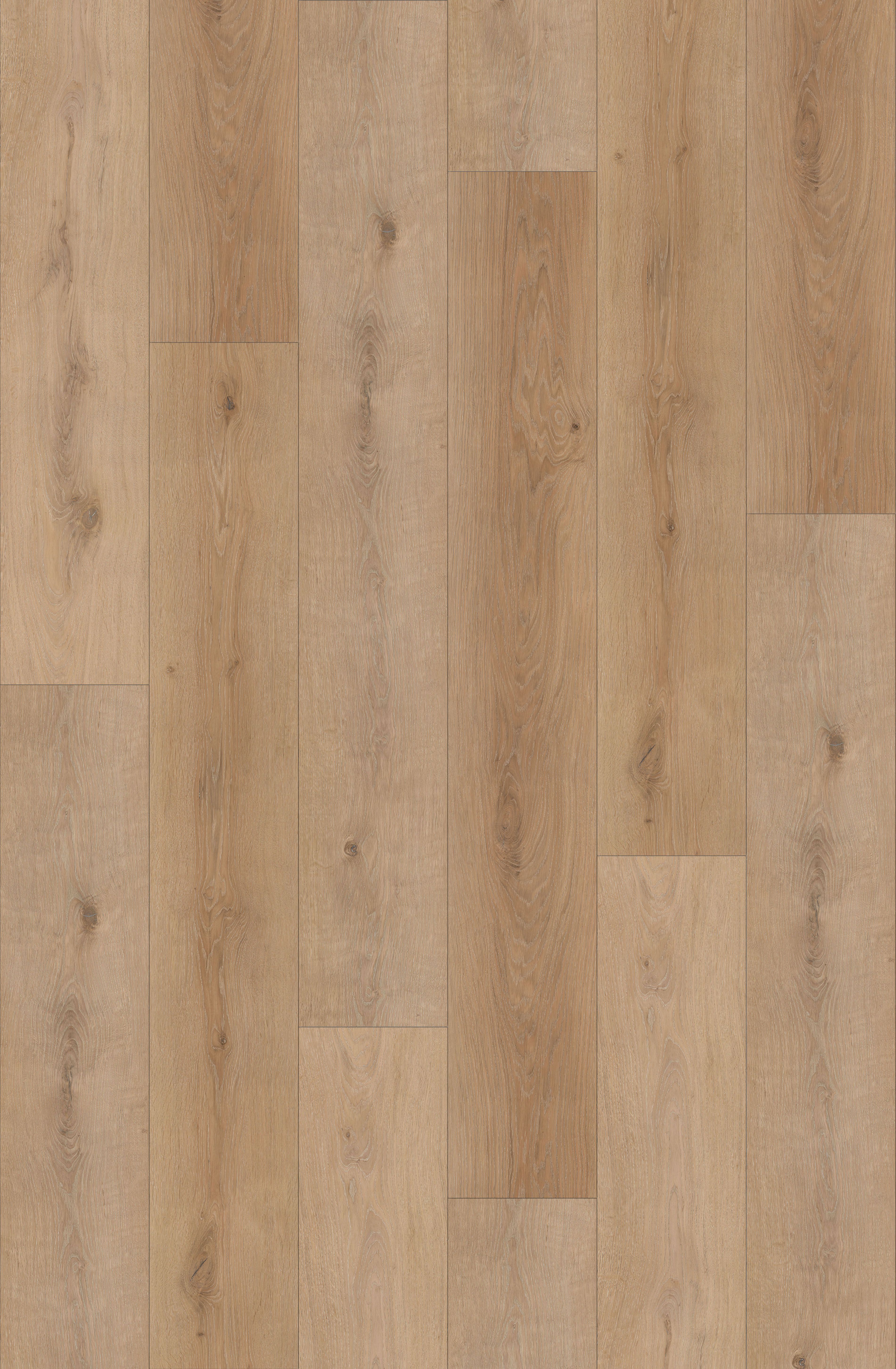  for Supreme Stone in Ocala, FL