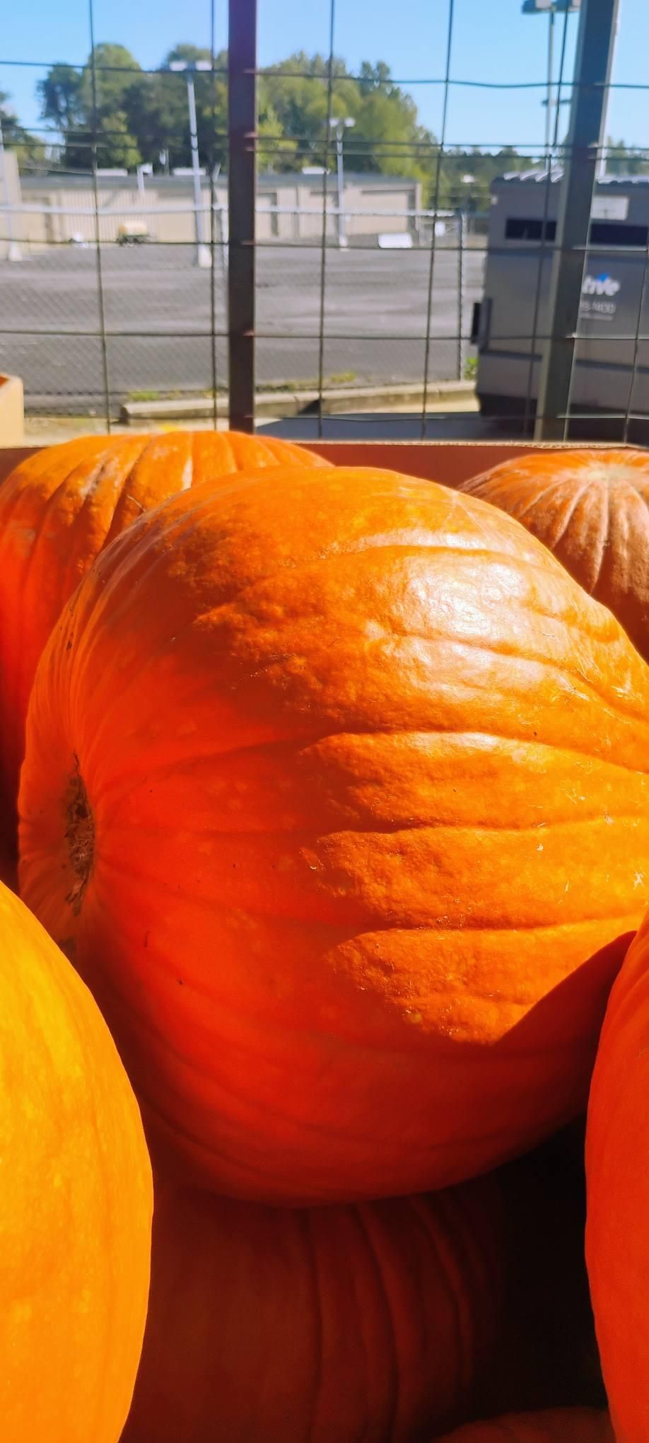  for Rutledge Contracting LLC in Hazel Green, AL