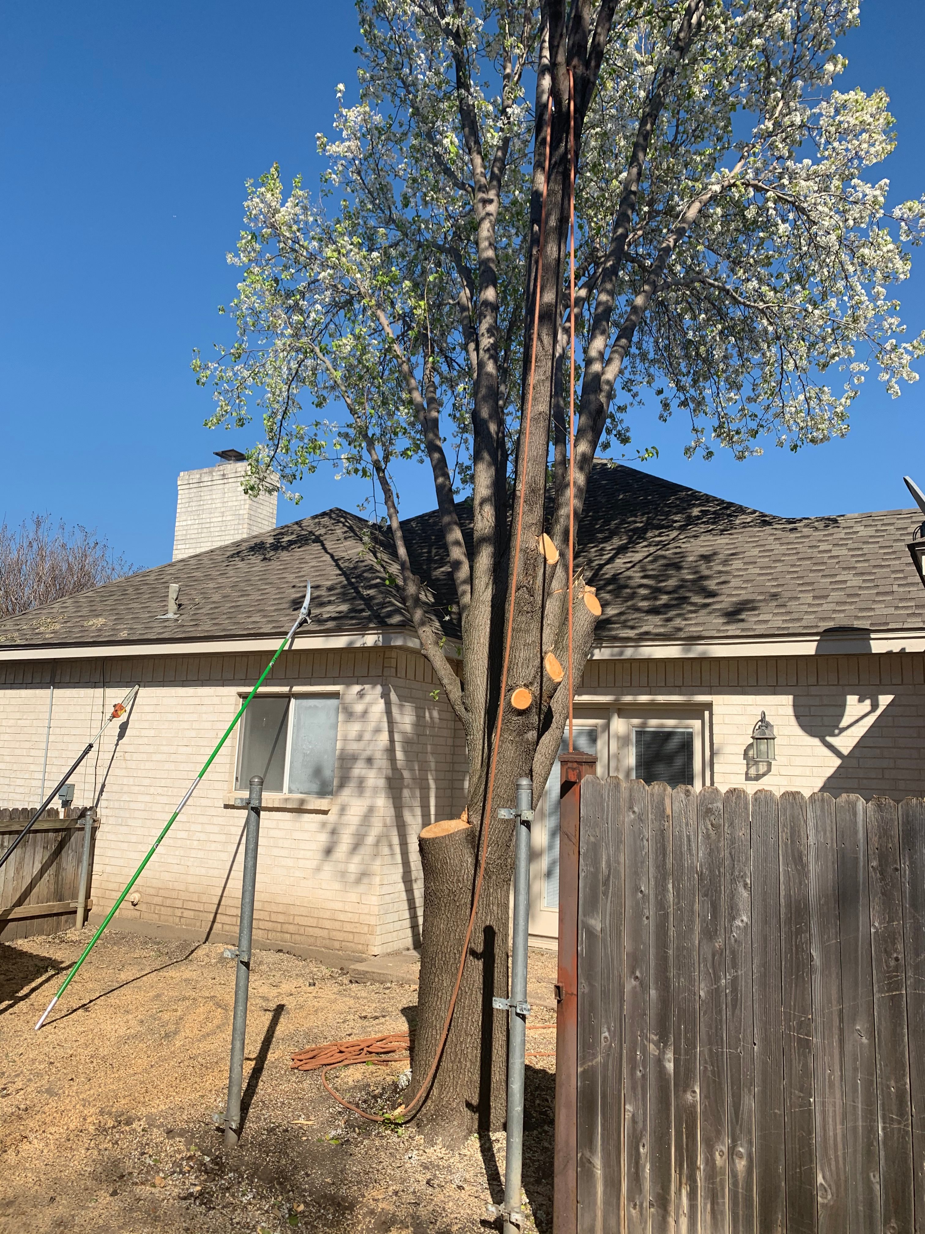  for TLC Professional Tree Service in Bedford, TX