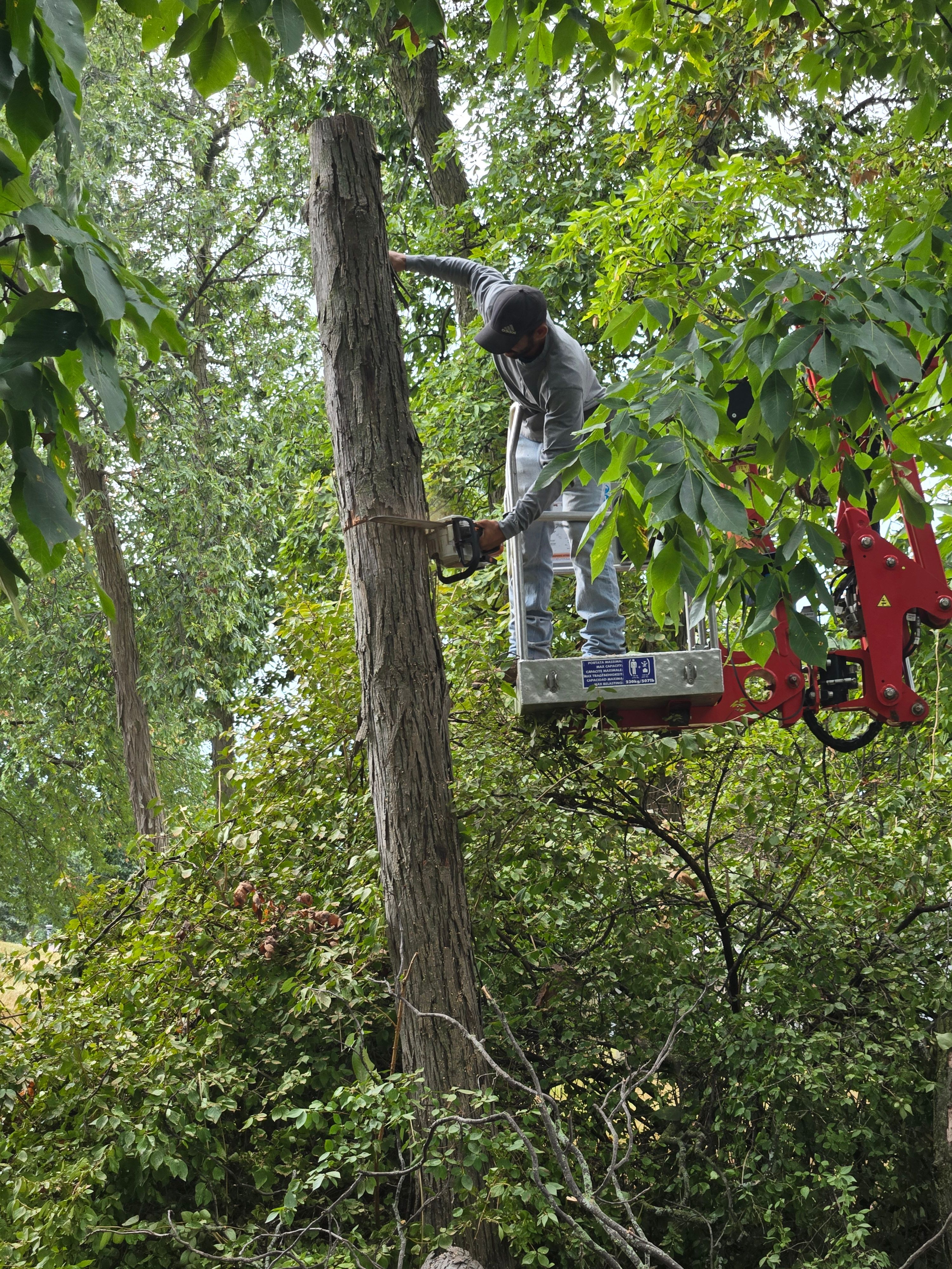  for Lawn Ranger Yard And Tree Service LLC in Ottumwa, IA