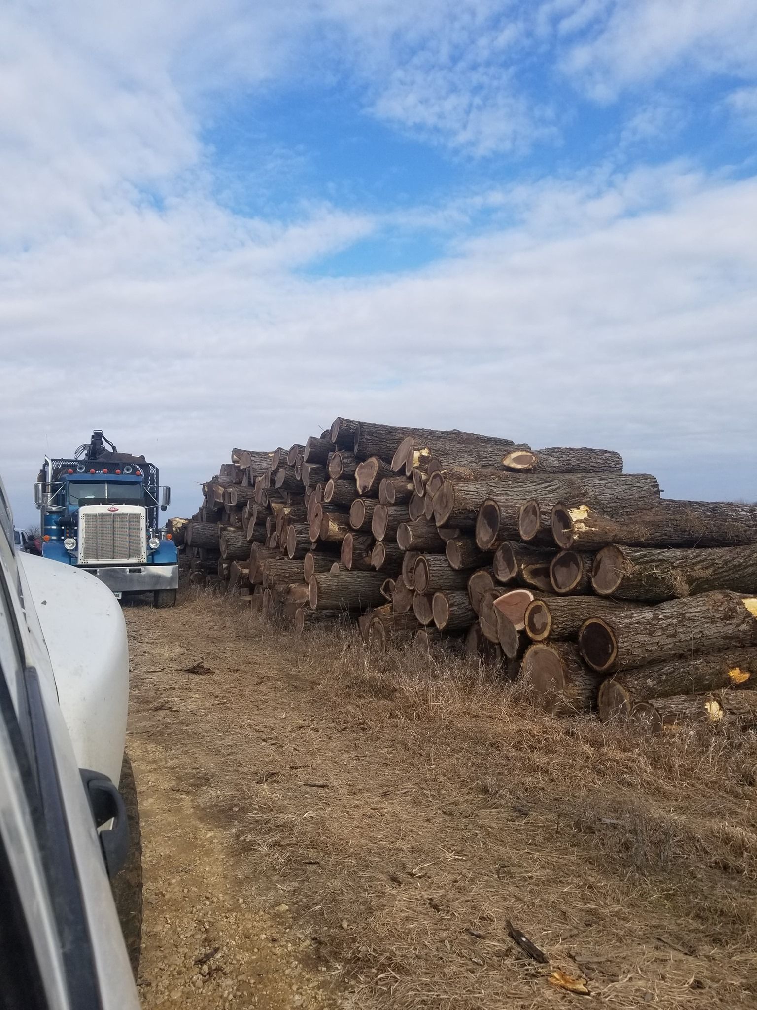  for Pure Iowa Logging in Cedar Rapids, Iowa