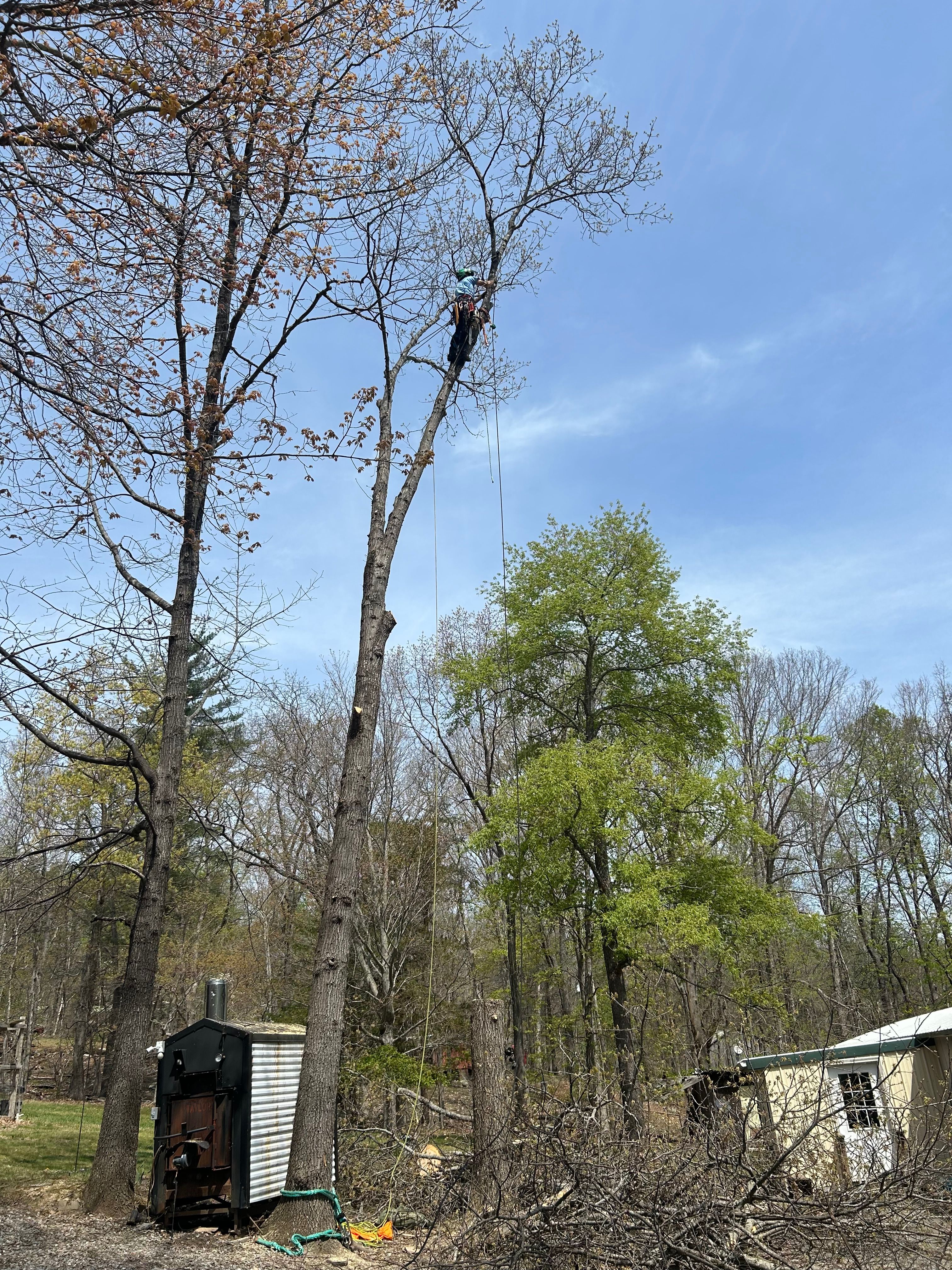 All Photos for VA Landgrowth LLC in Lexington, VA