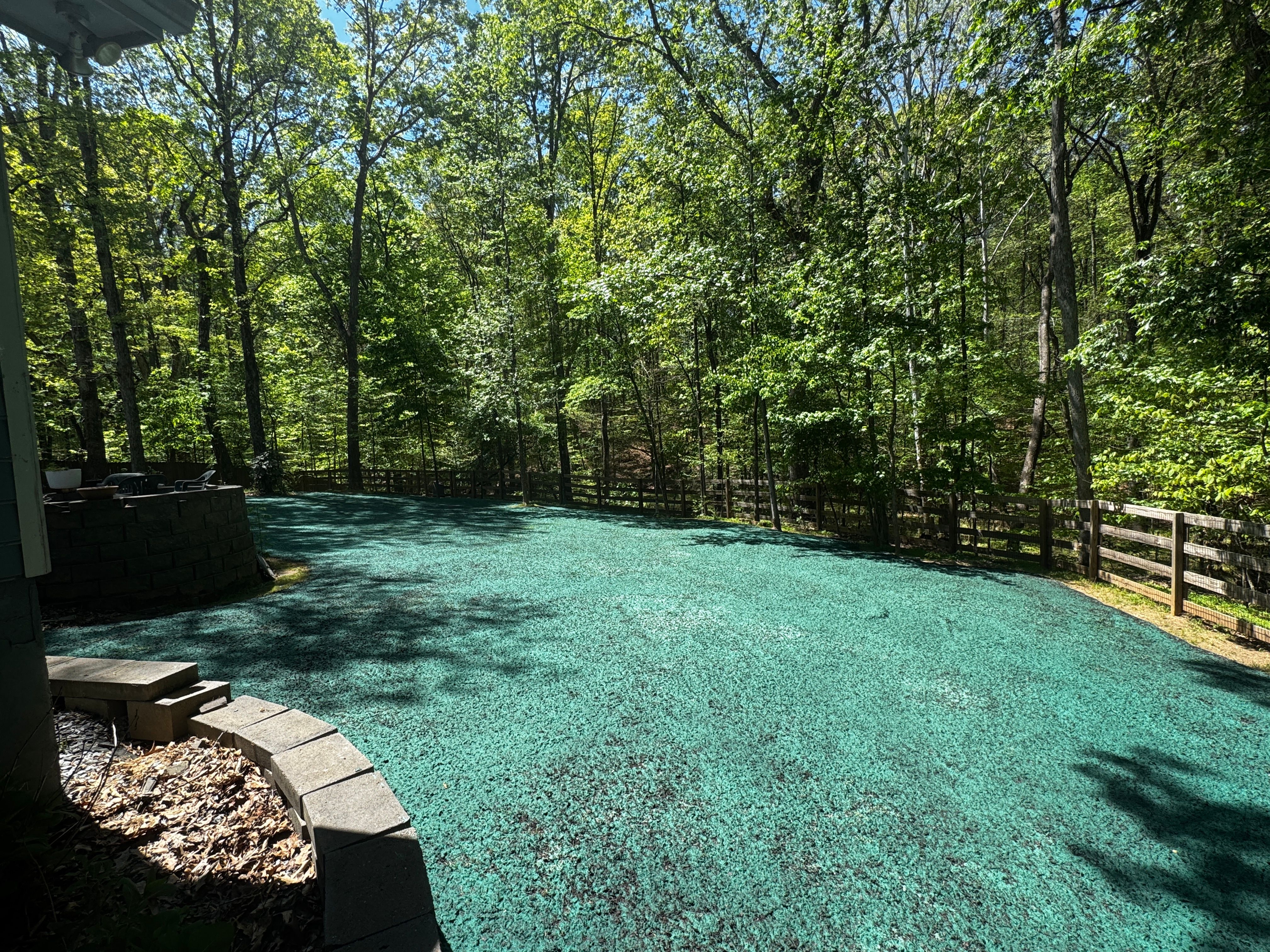 All Photos for Deeply Rooted Lawns – Hydroseeding & Sod Installation Services in Winder, GA