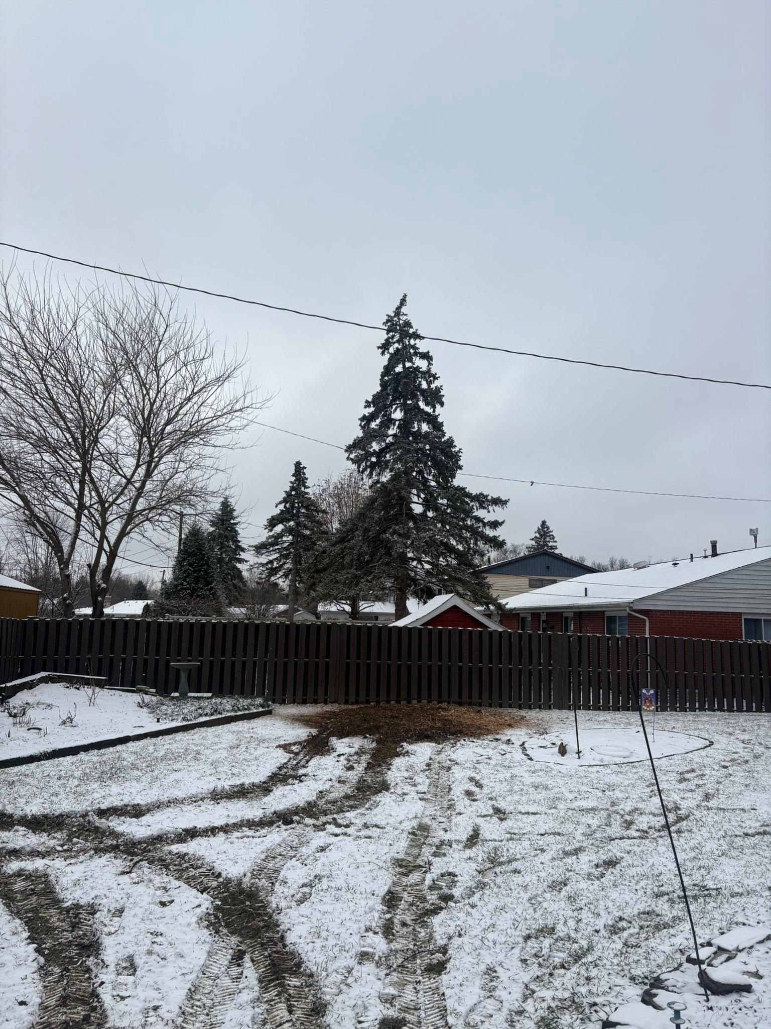  for Dig-It Tree Company in Mason, OH