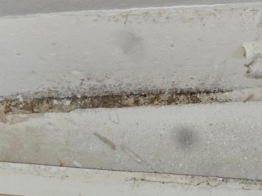  for N&D Restoration Services When Disaster Strikes, We Come In in Cape Coral,  FL