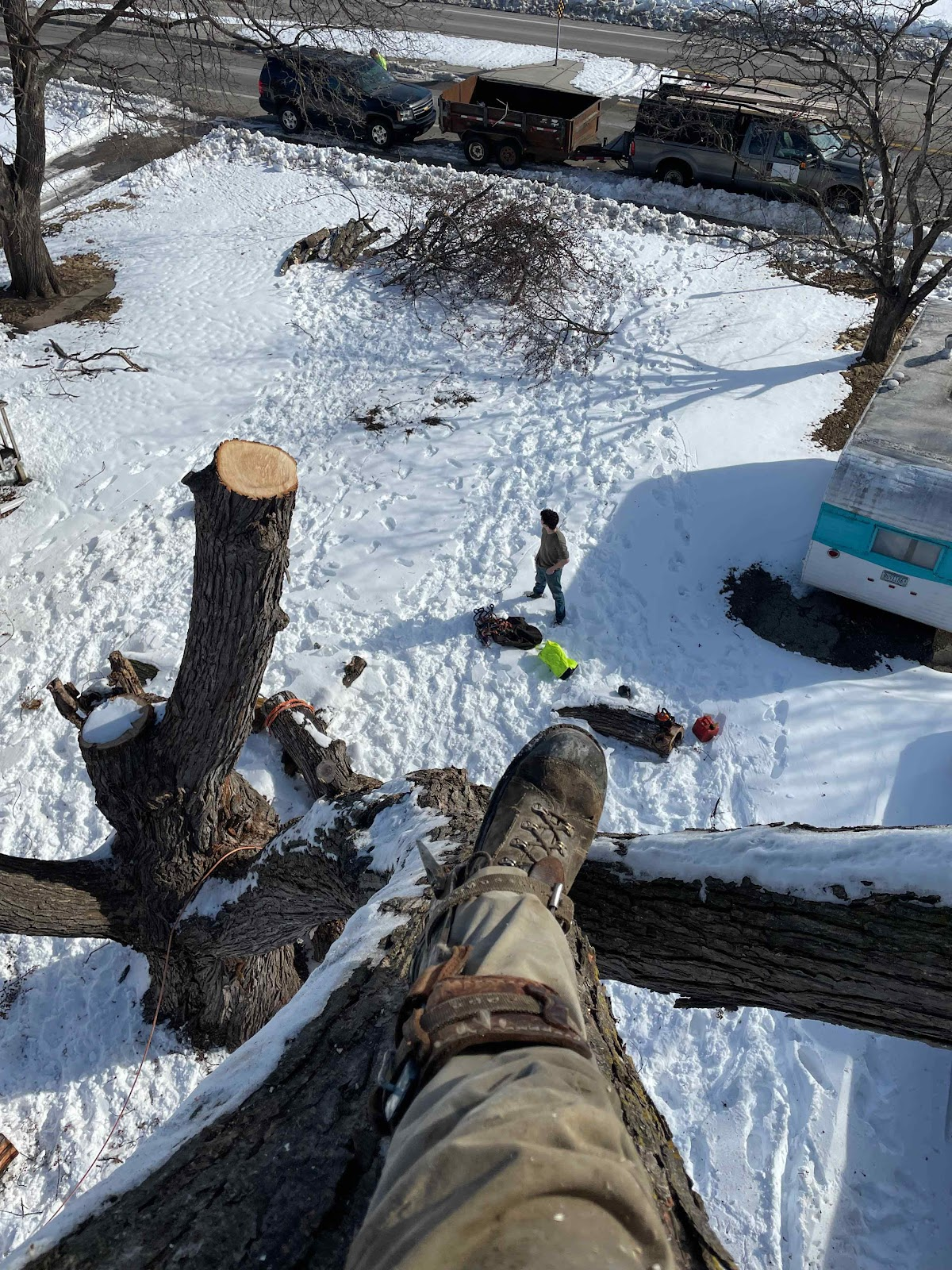 All Photos for K and Z Tree Care in Andover, MN