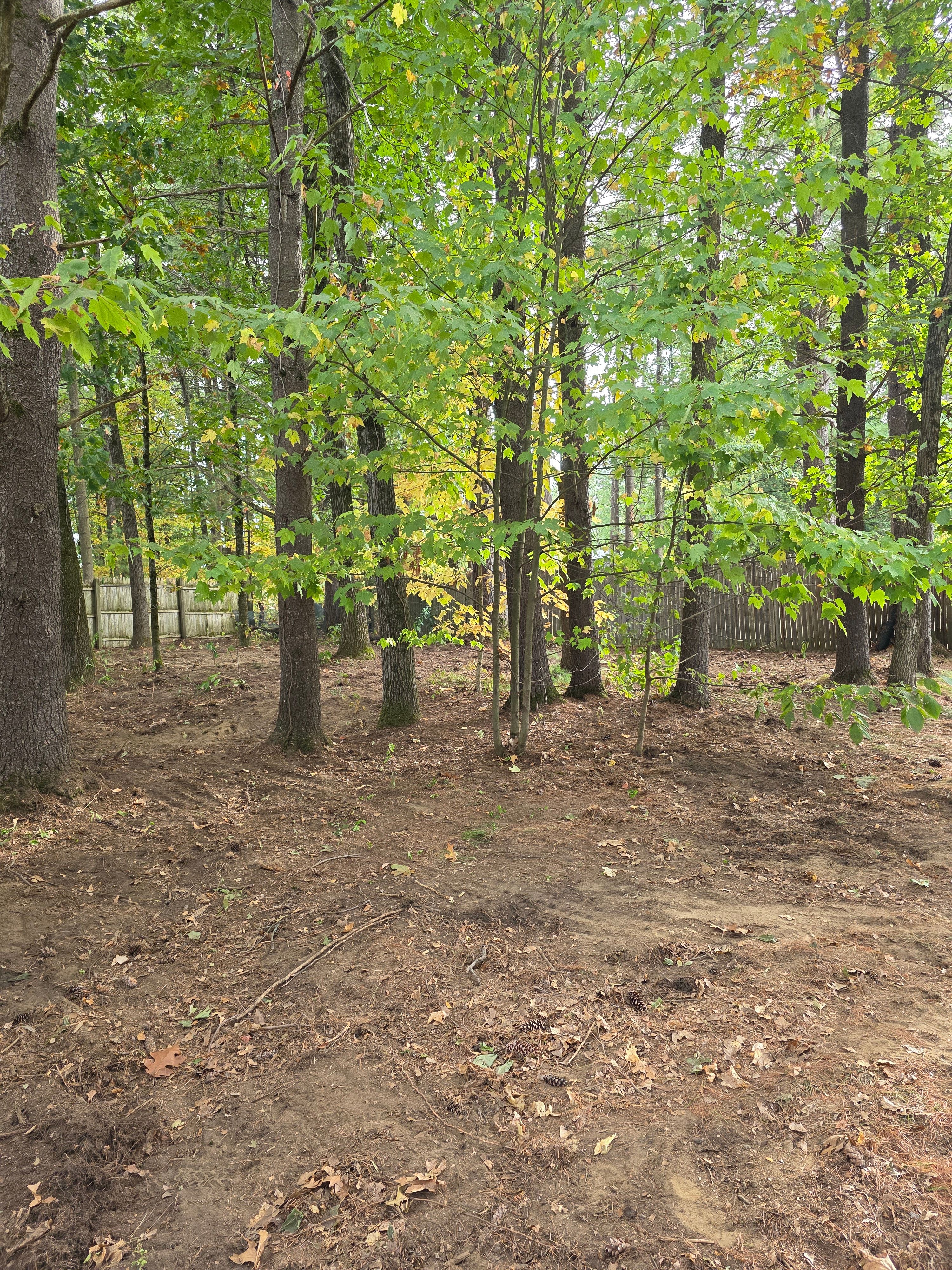  for Sweet Scapes in Ballston Spa, NY