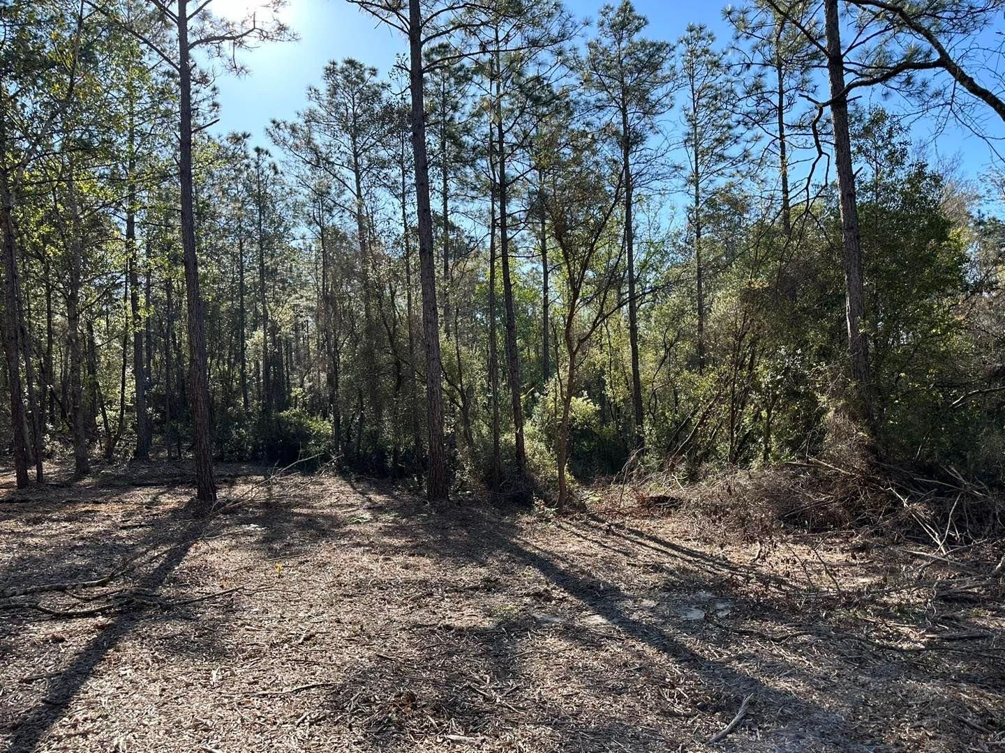 All Photos for White’s Land Maintenance in Milton,, FL