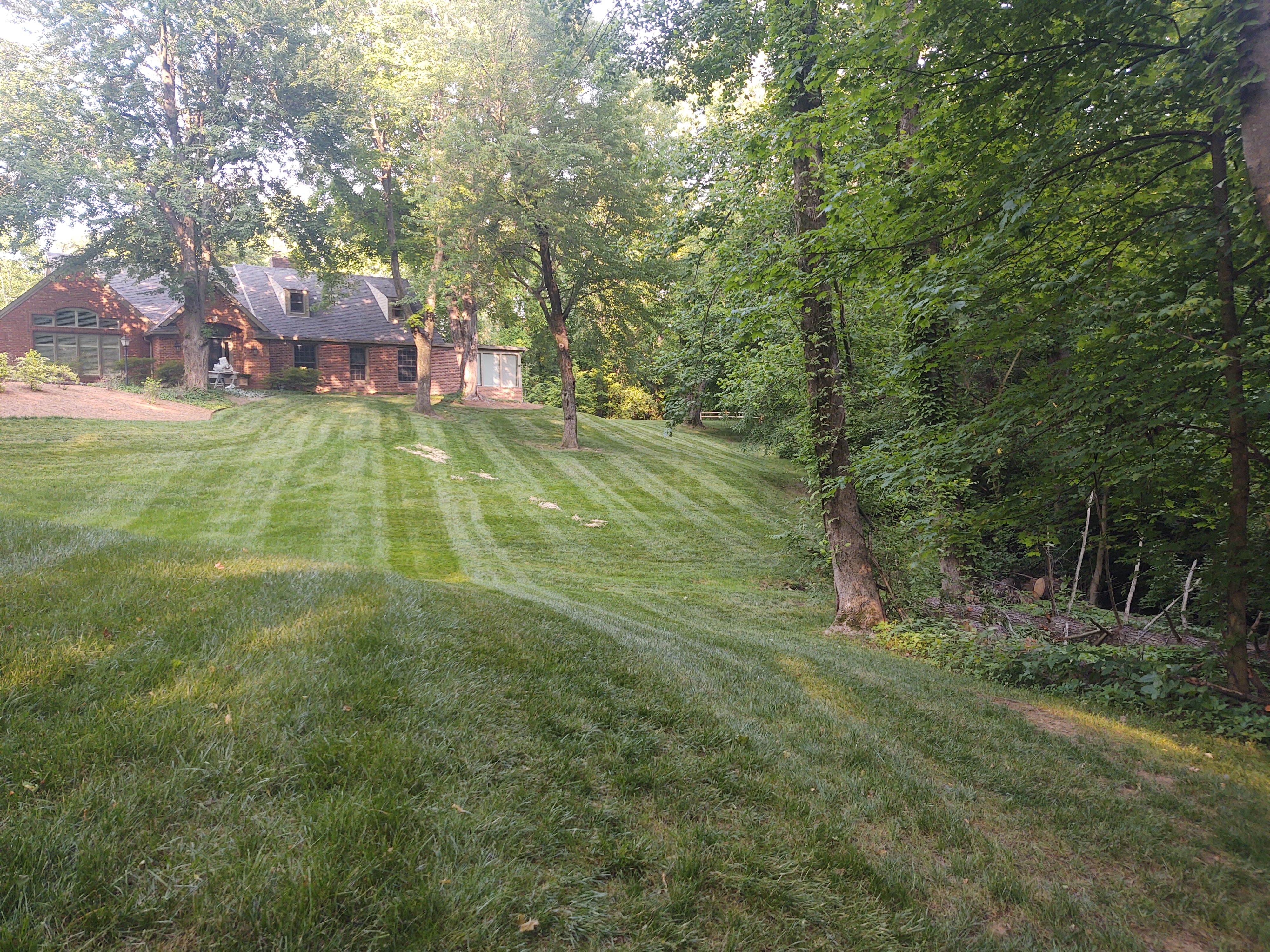  for The Grass Guys™ in Evansville, IN