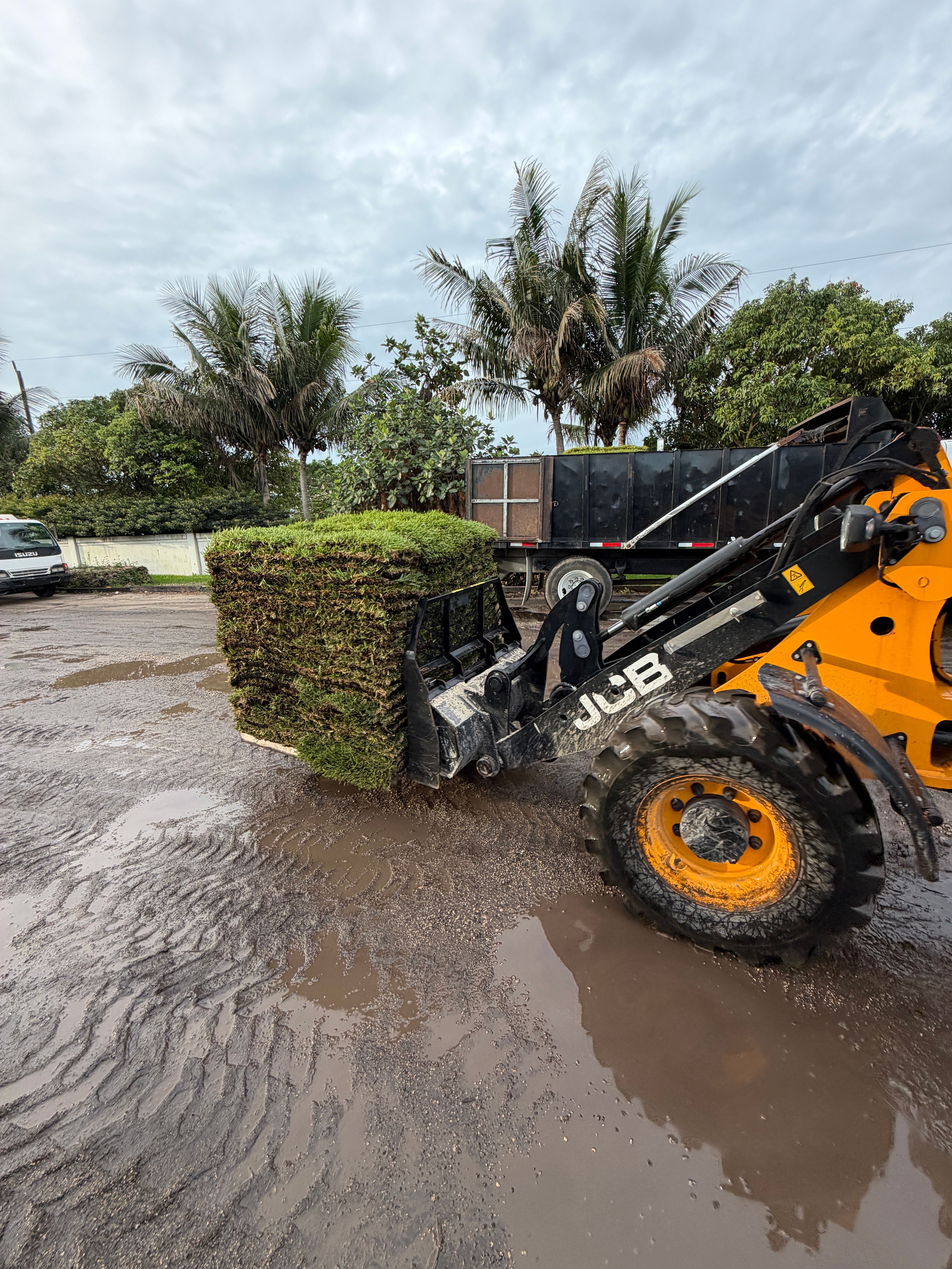  for Nurry Tree Services in Miami, FL
