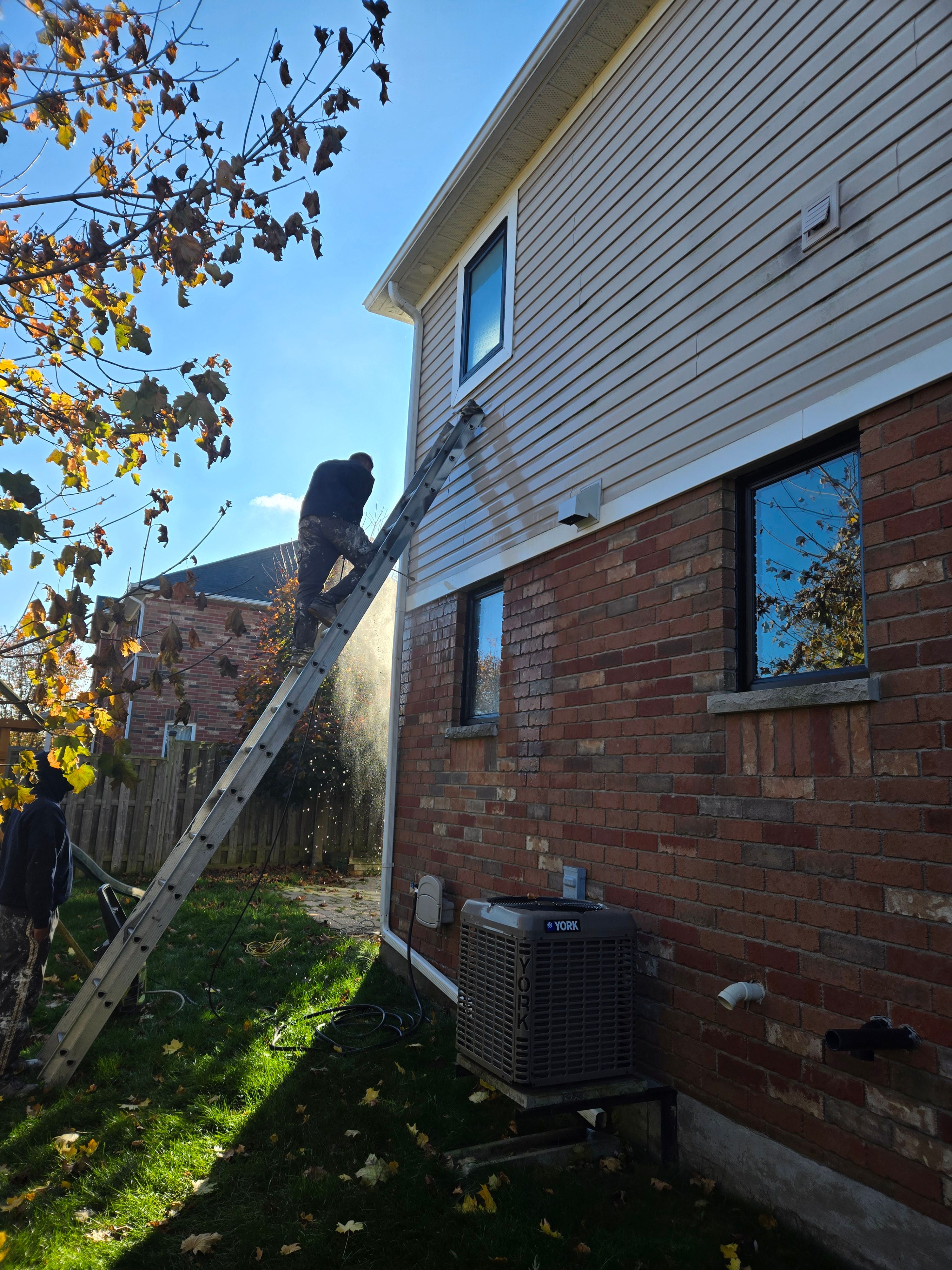  for Stallion Painting in Hamilton, Ontario