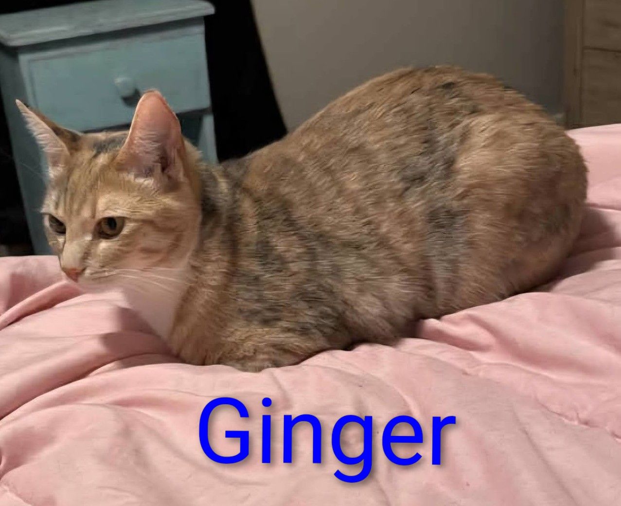  for Sullivan Sanctuary of Maine in Brunswick, ME