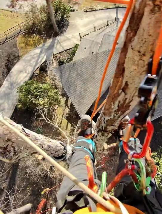 All Photos for Complete Care in Cumberland Gap, TN