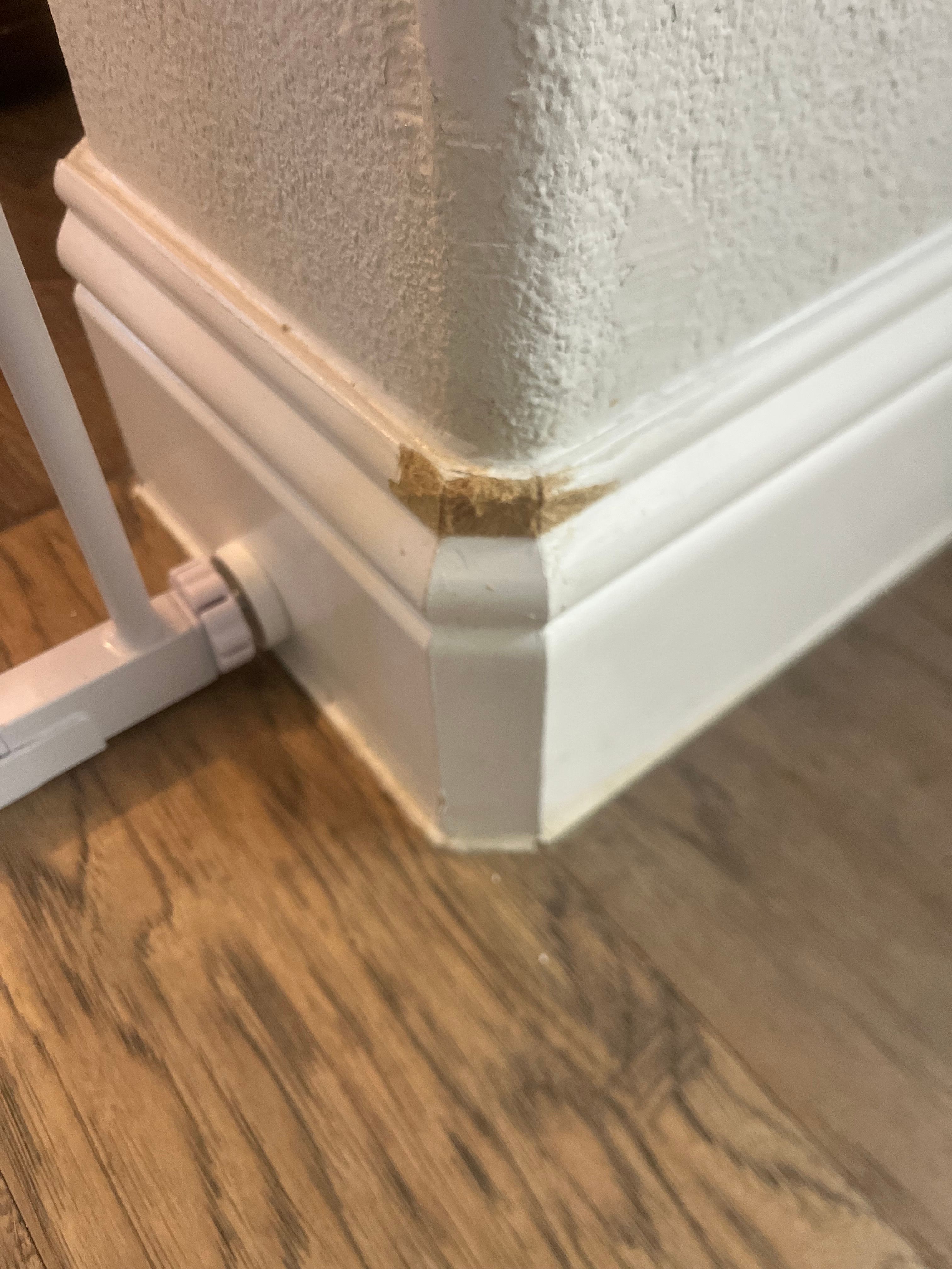 All Photos for IBP Construction in Fort Worth, TX