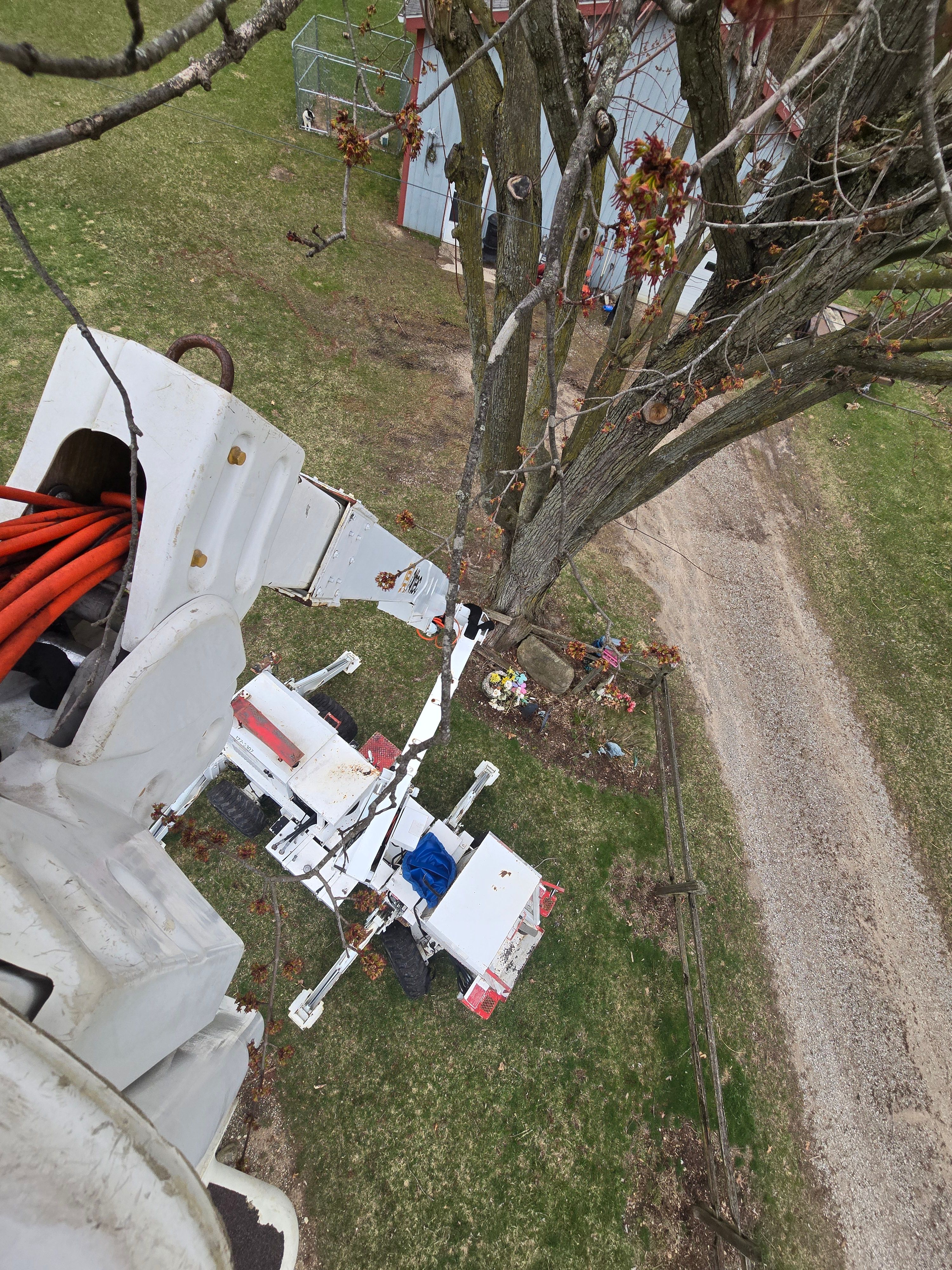  for D Hale Tree Service in Dexter, MI