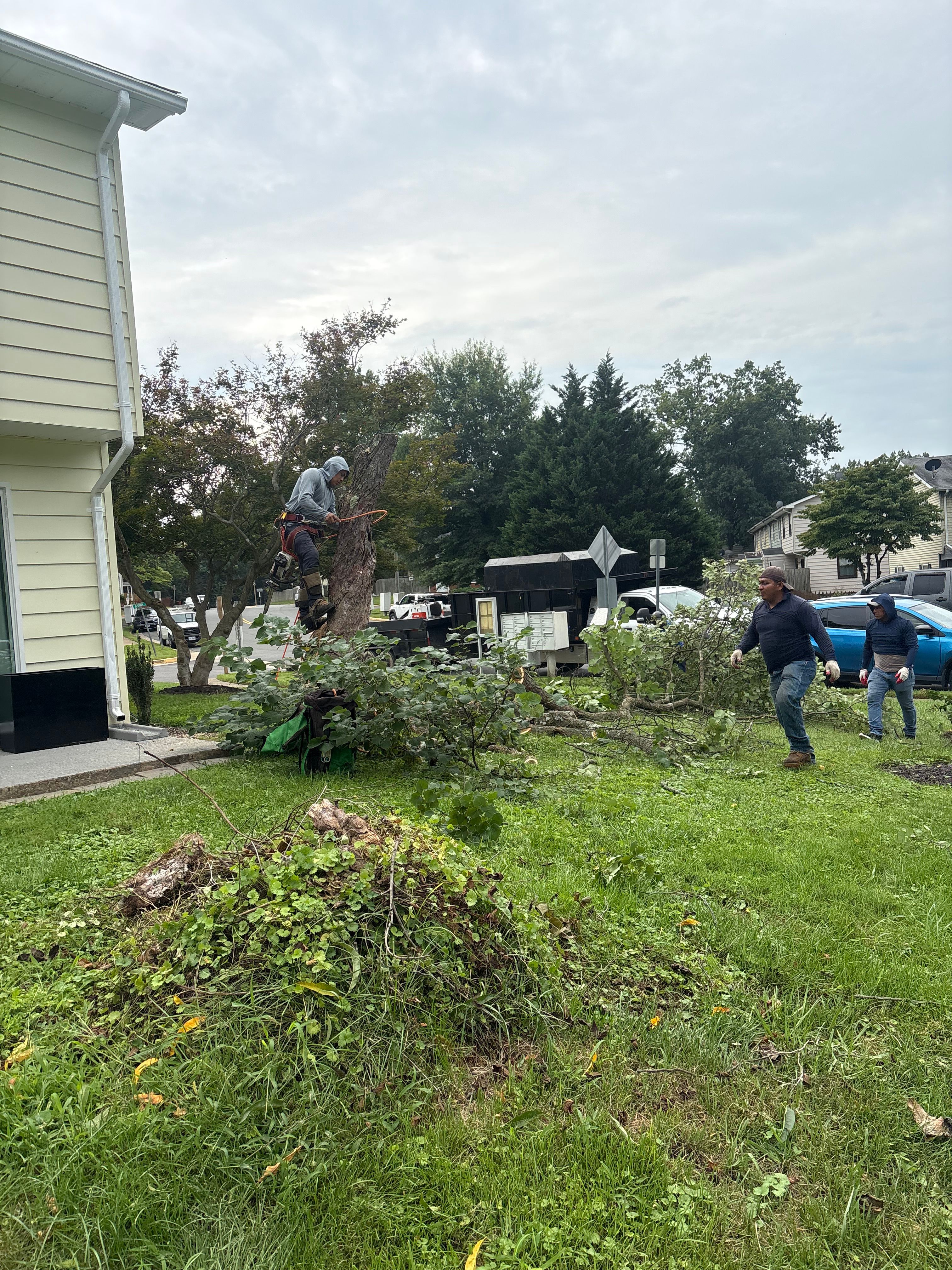  for Mountainside Property Services LLC in Warrenton, VA